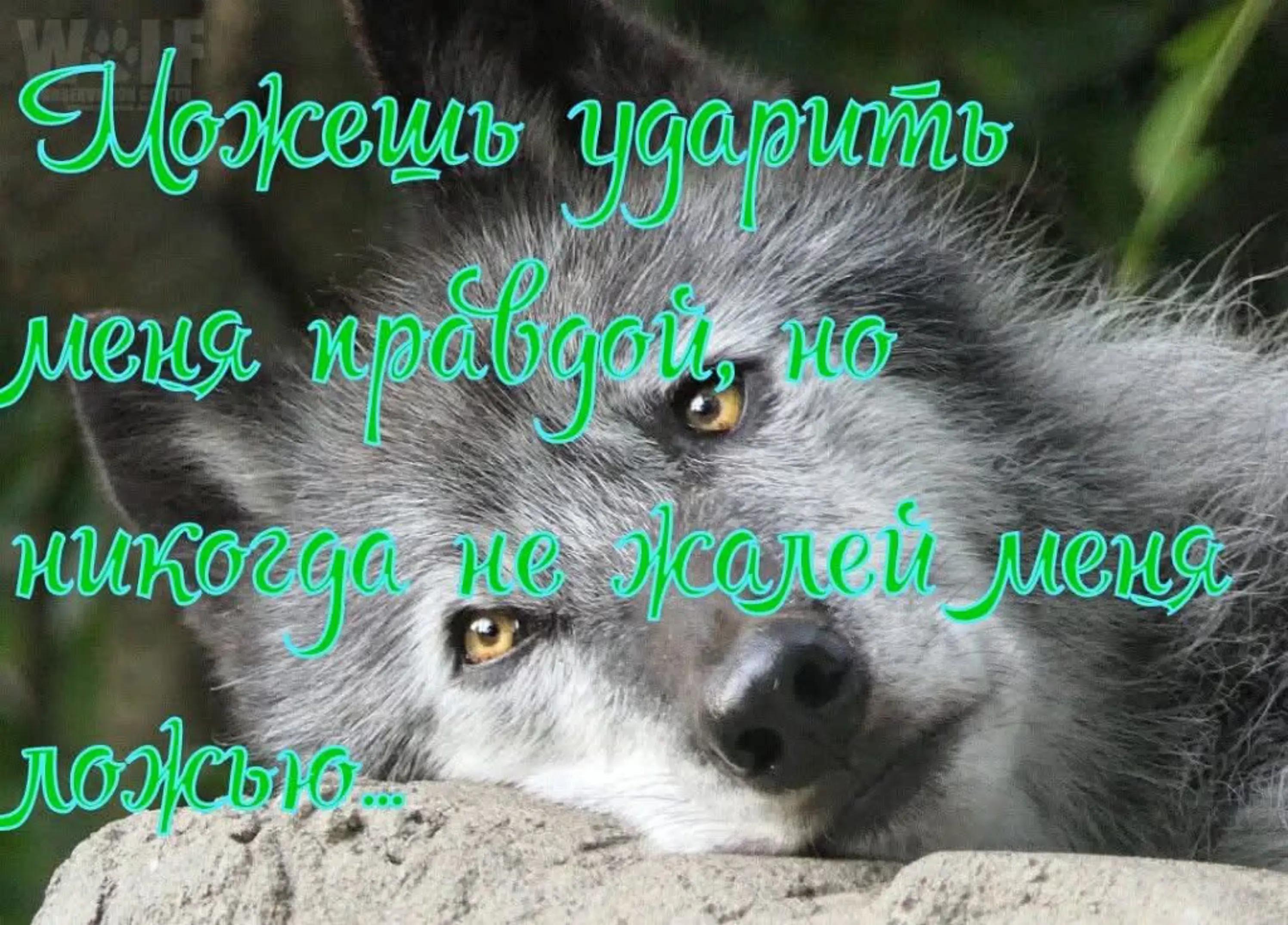 @erjan_talas
