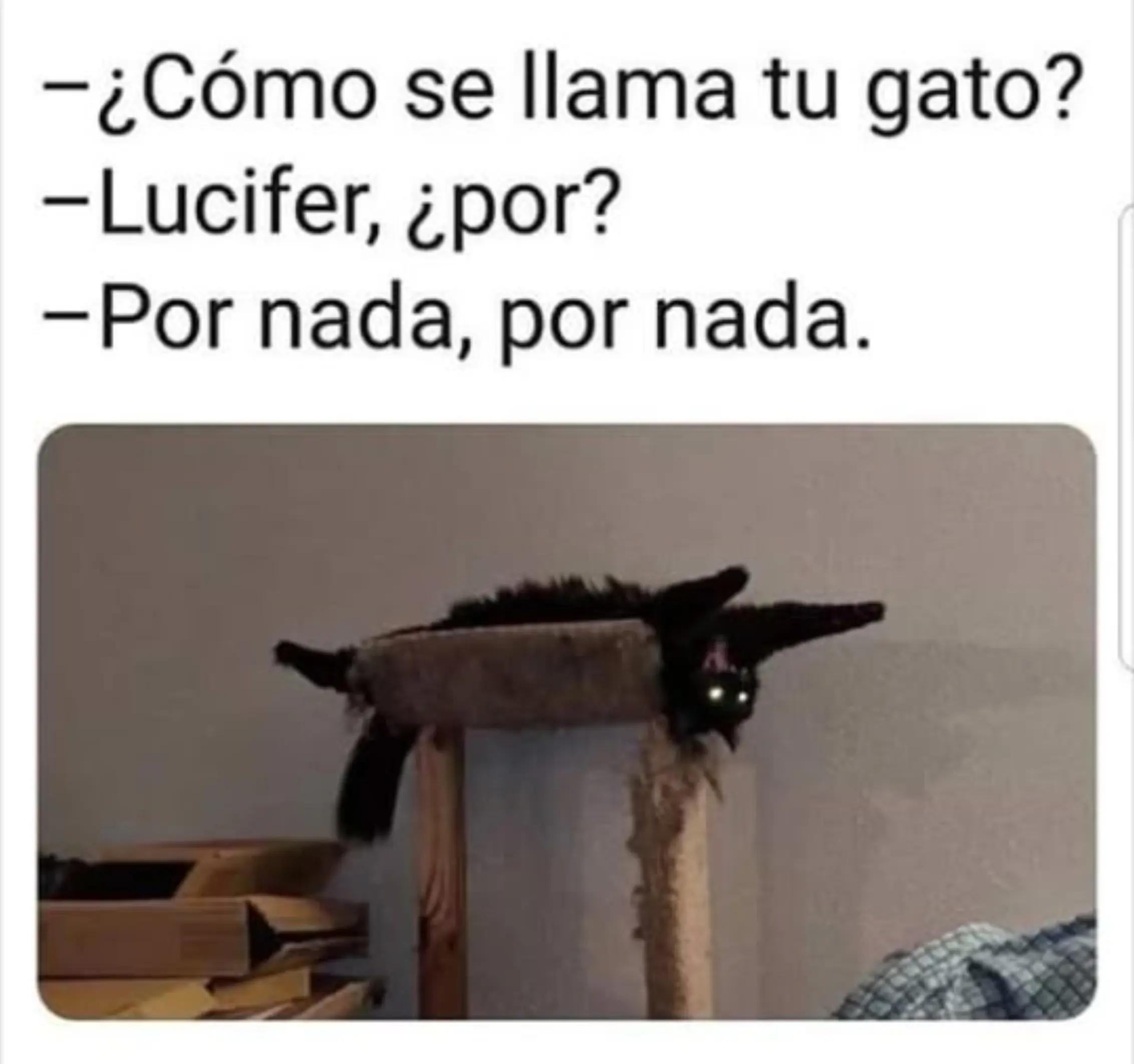 @meliodaz5252