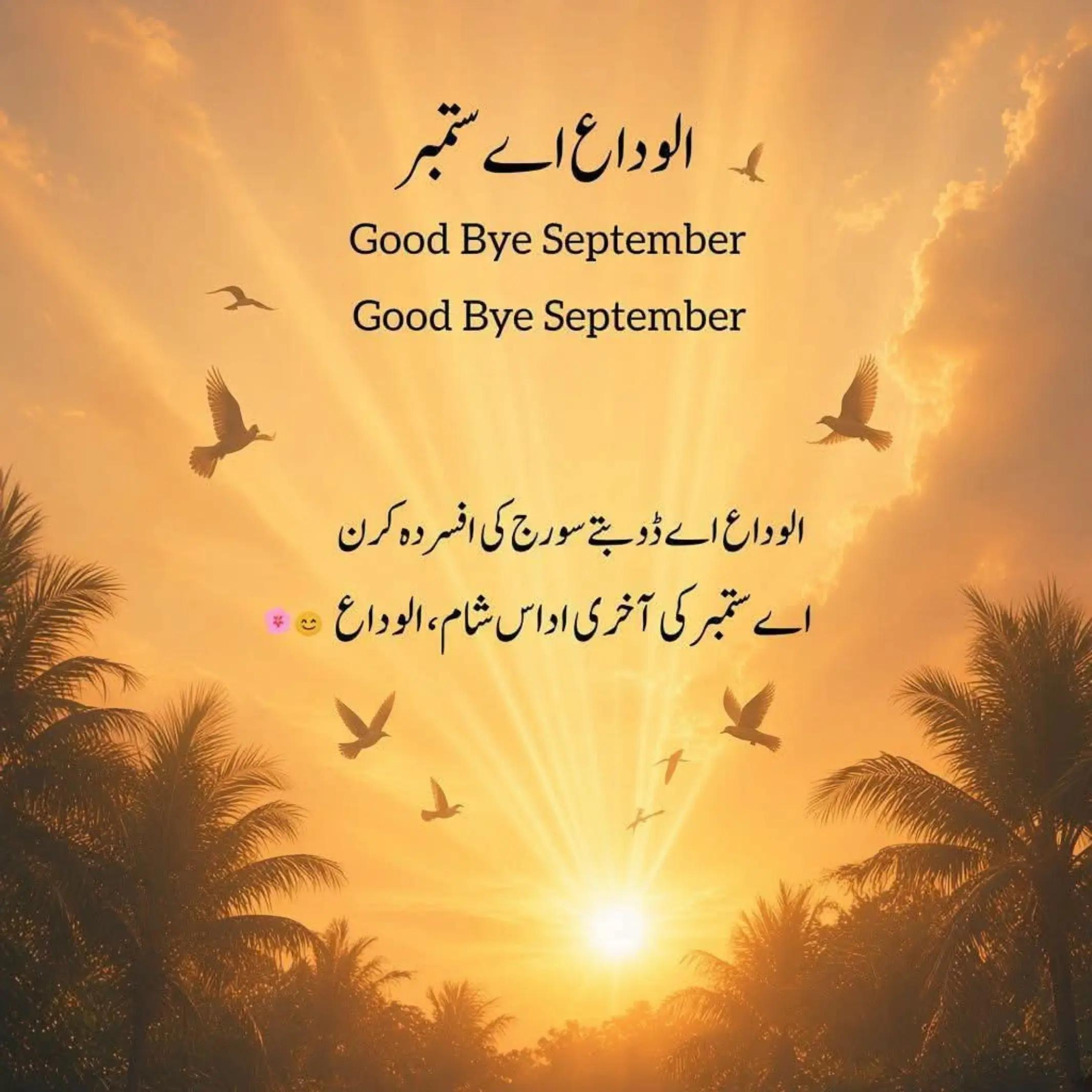 @طاھر راجا ایڈووکیٹ:-:-💞