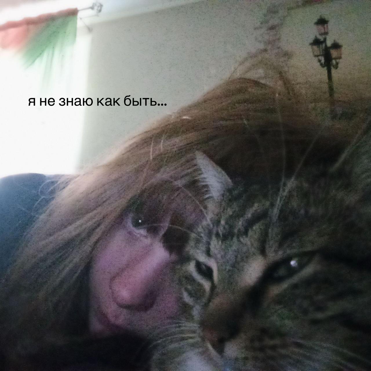 @Kaja