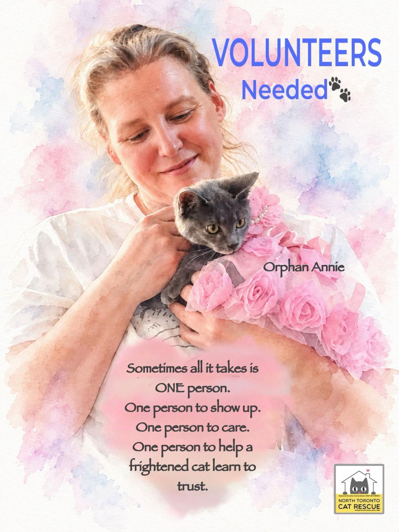 @North Toronto Cat Rescue
