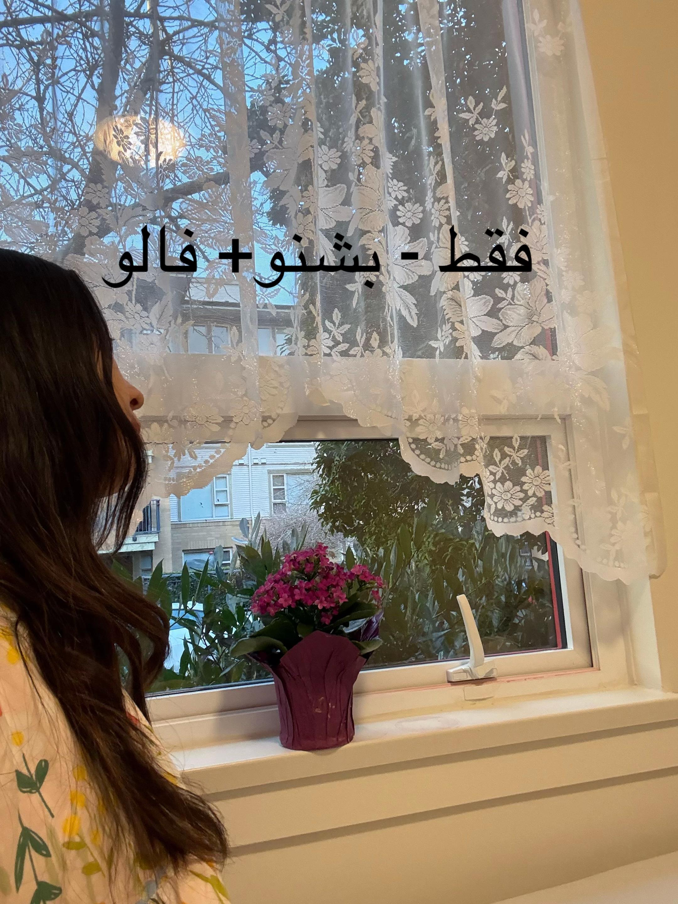 @پرستوی مهاجرParastoyMahajer