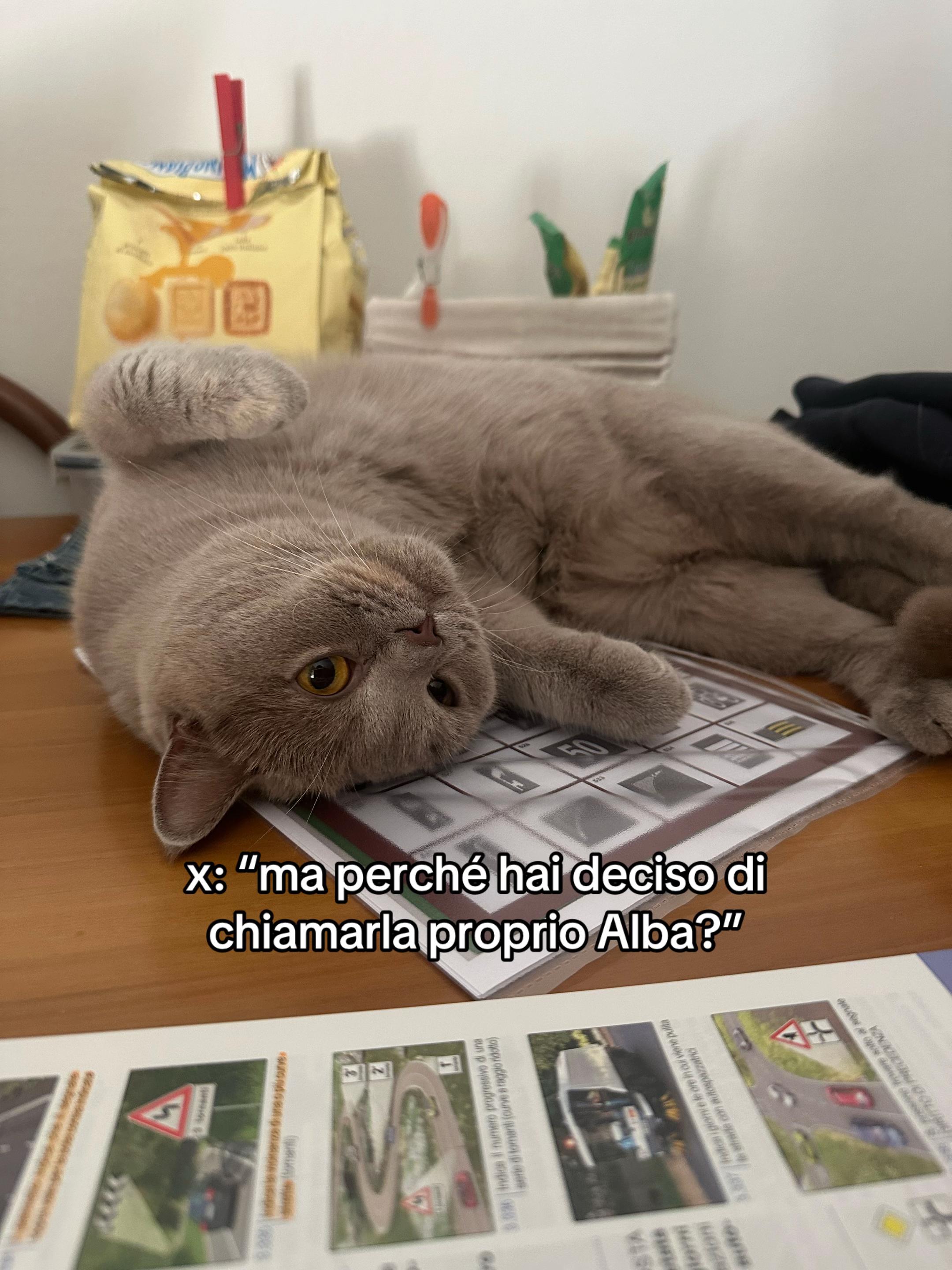 @cate