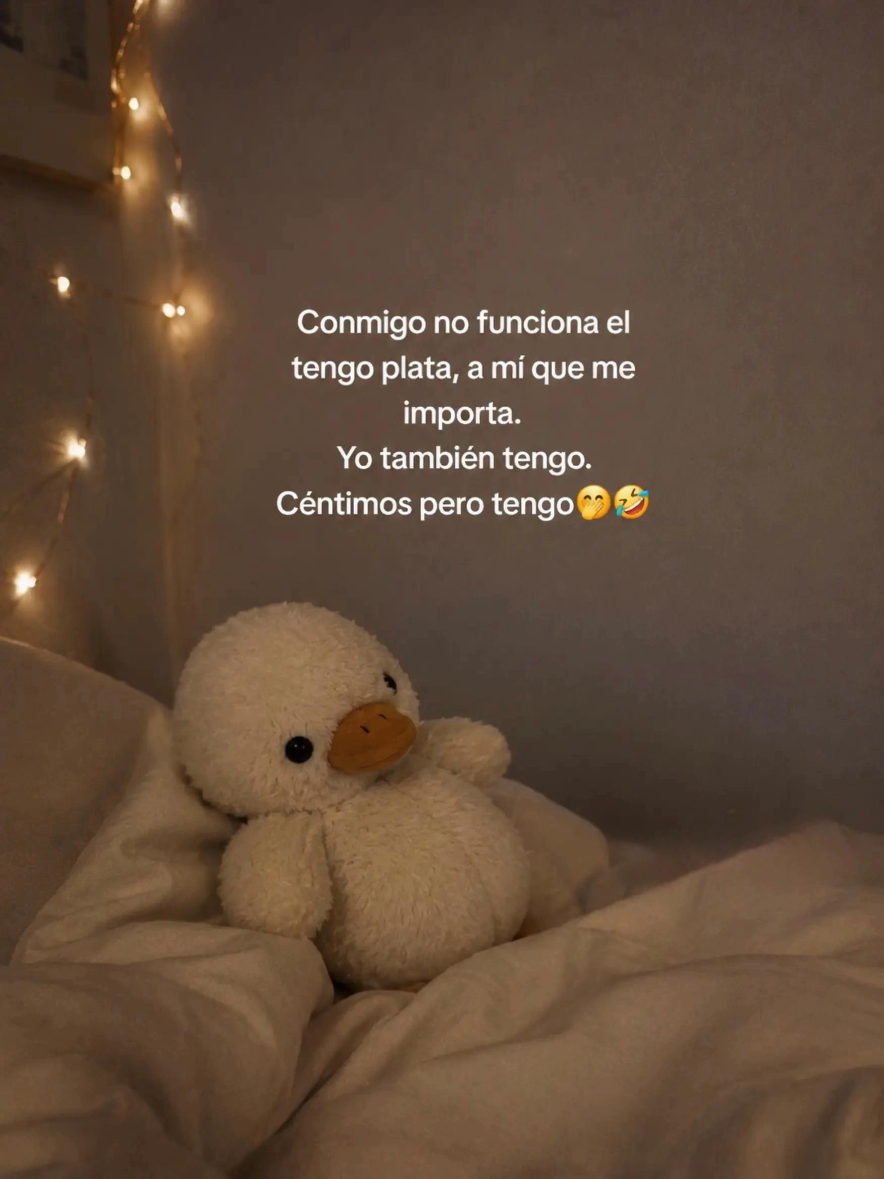 @ᴱᴸᵞ🤍