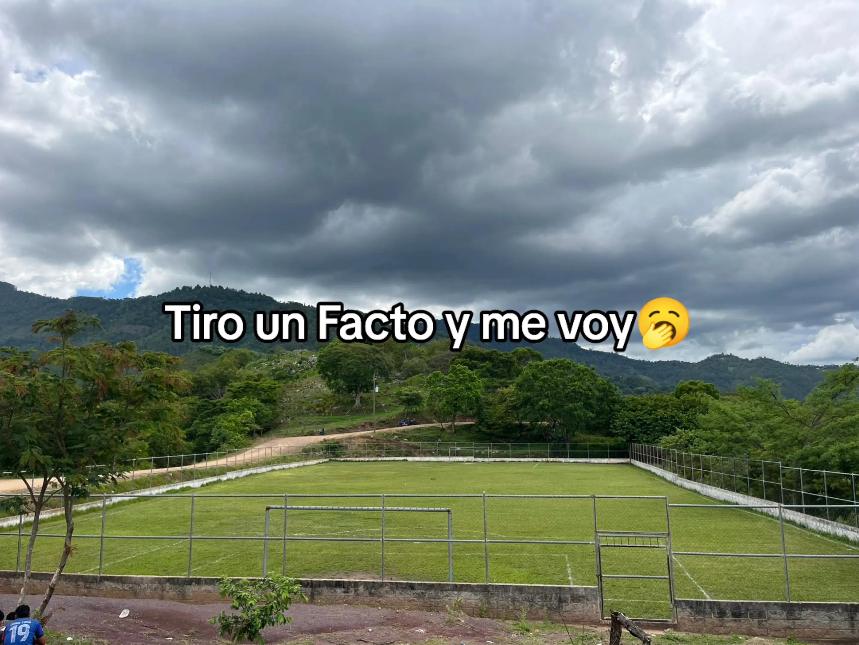 @Ivis 1602🥺