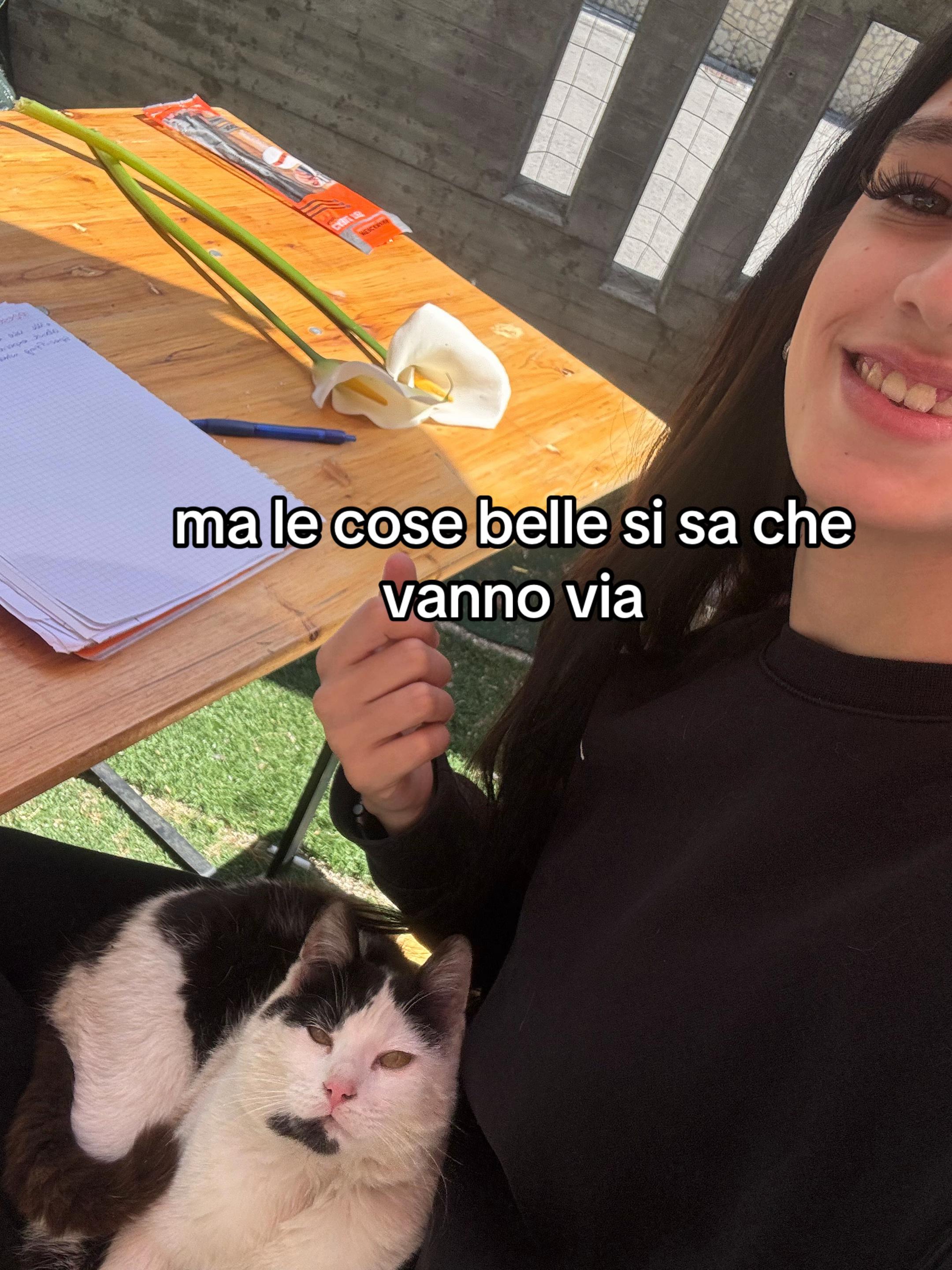@aurora spada