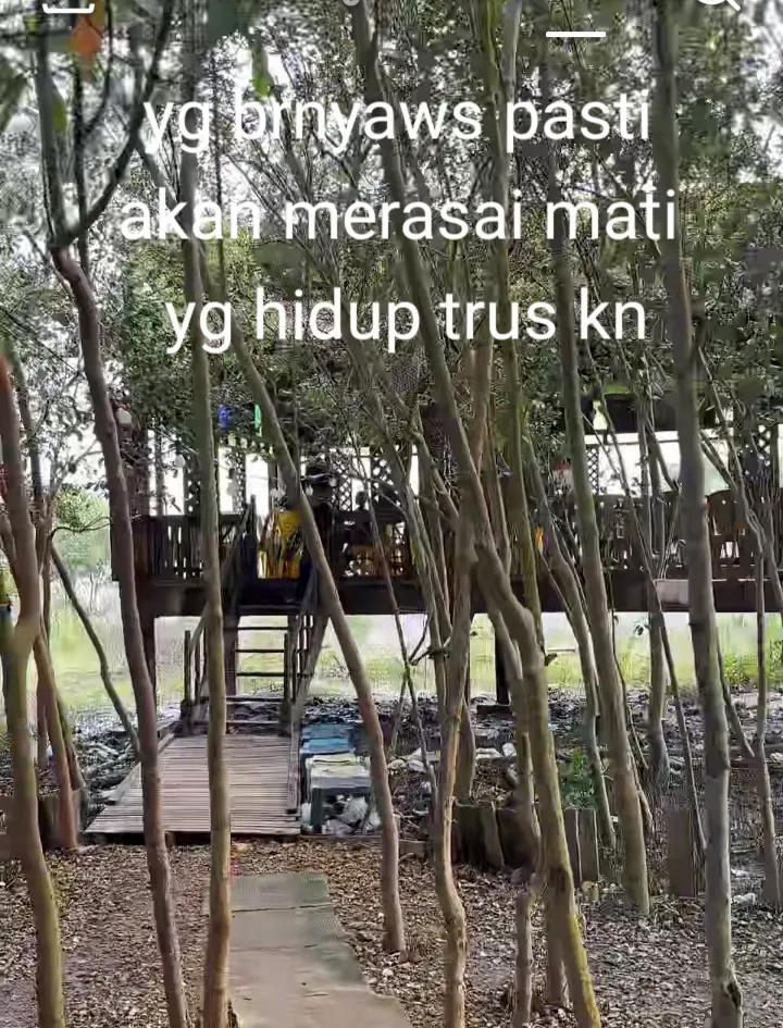@norlelasudin