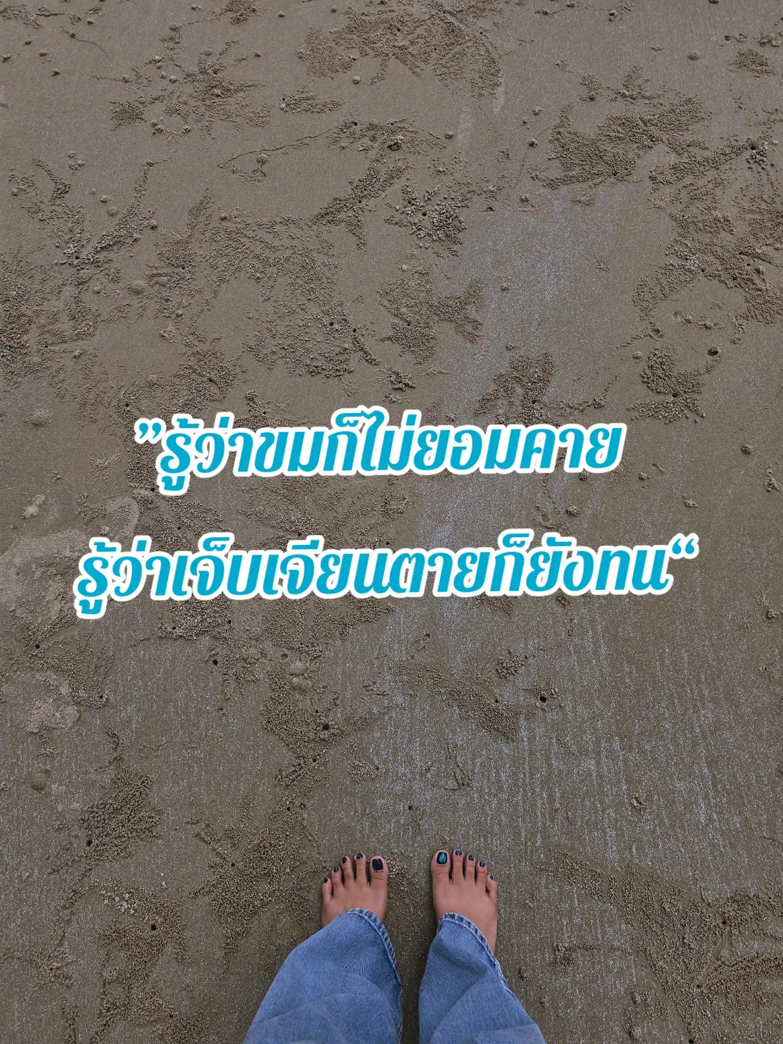 @🍀🌻มินตราที่แปลว่ากระถิน🌻🍀