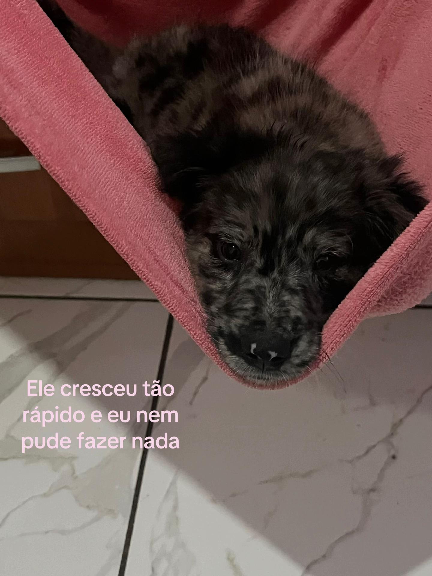 @Rafa Ferrari &sup1;&sup2;🇻🇦