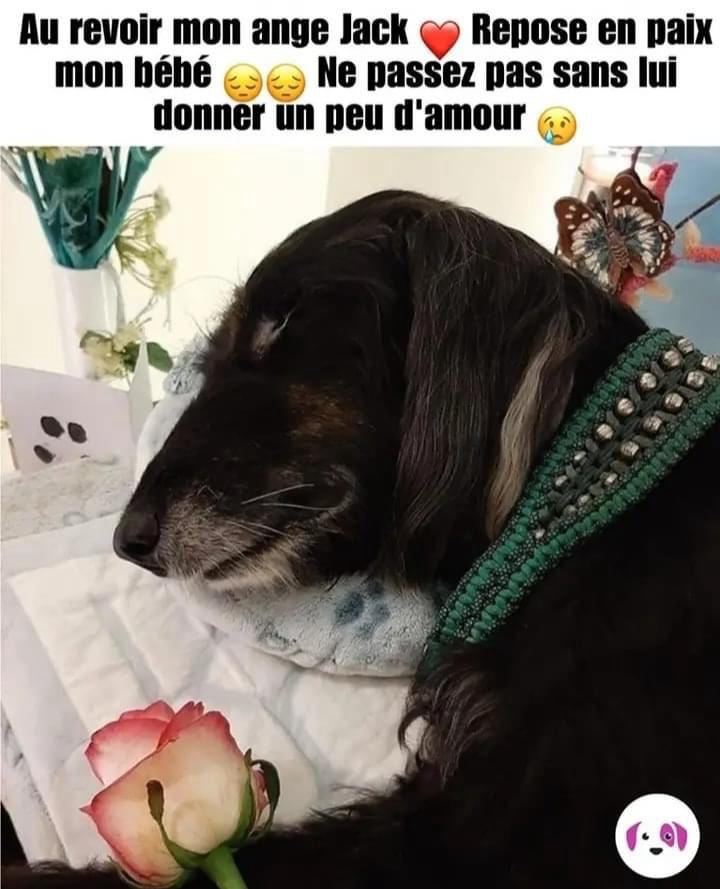 @Martine Levasseur487