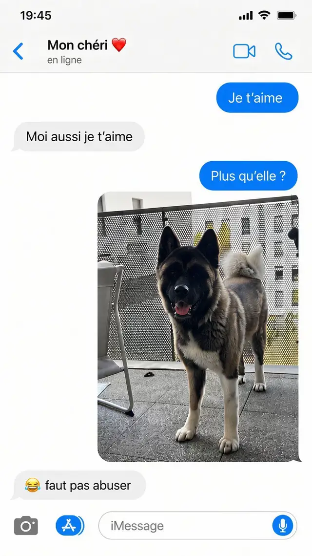 @Buffy_American_Akita