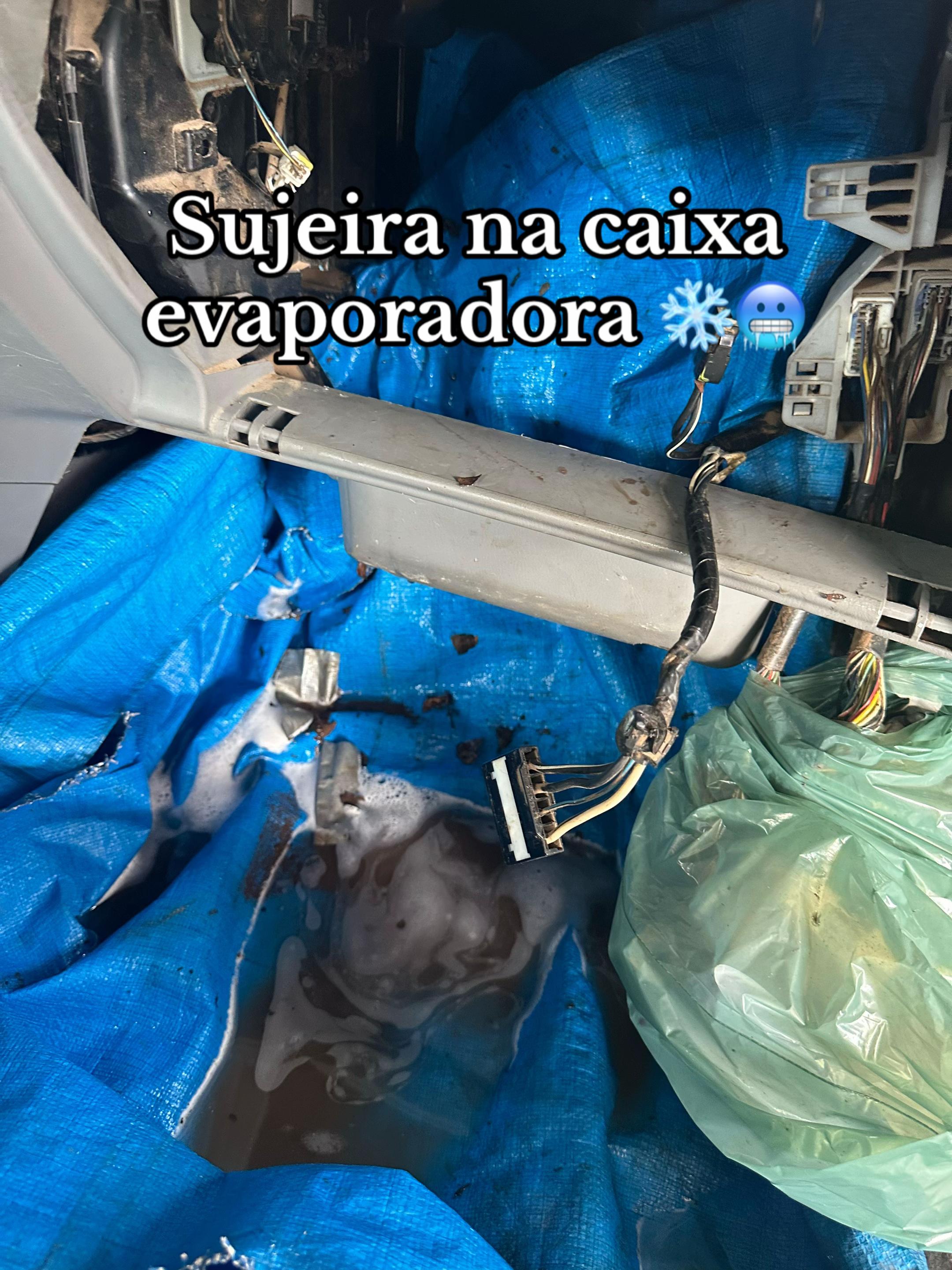 @friotec_sinop