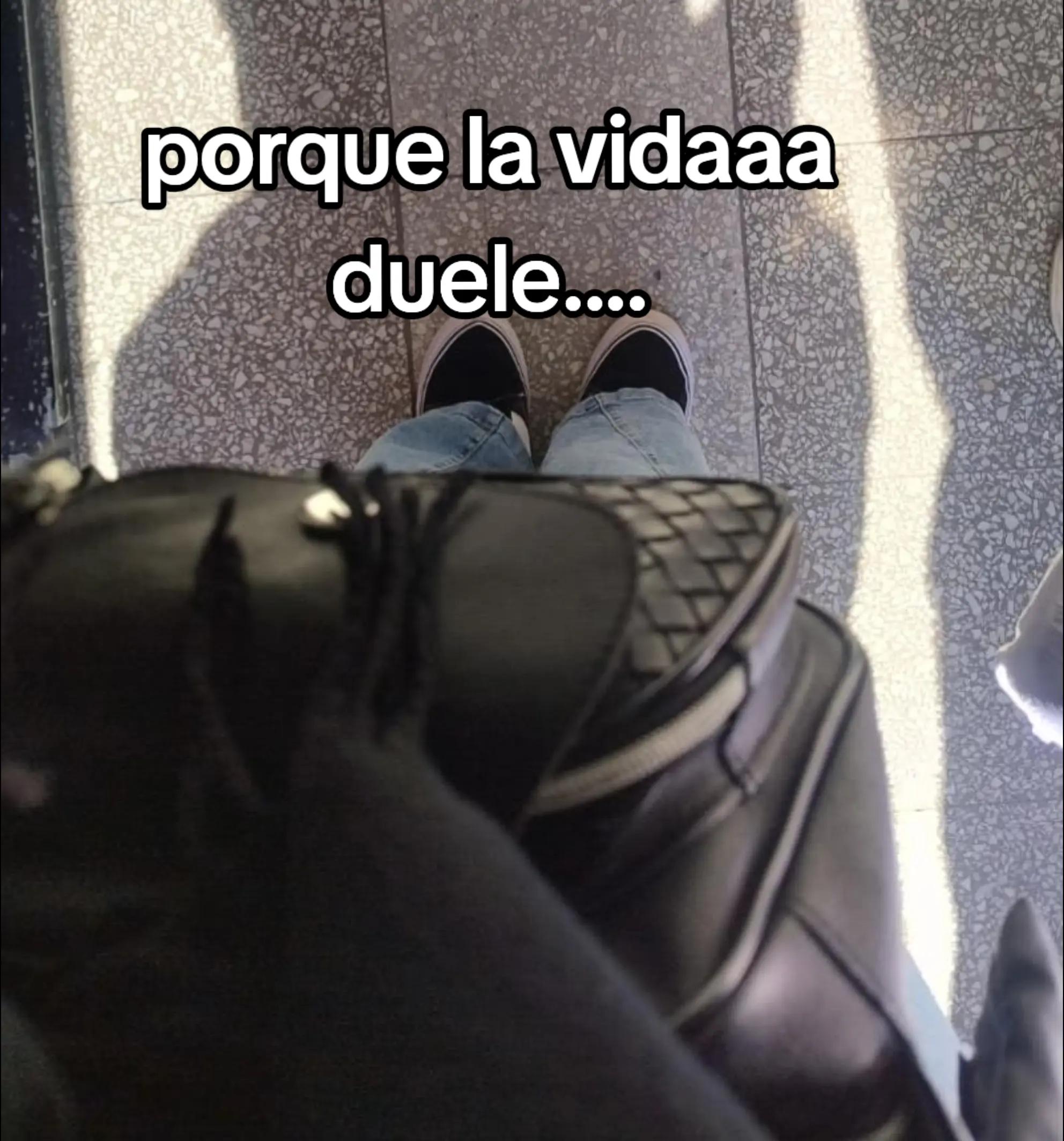 @celiagorosito
