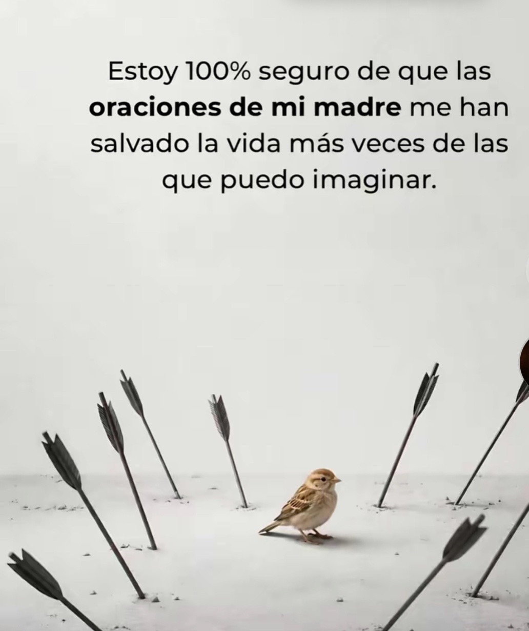 @Carmen Diaz
