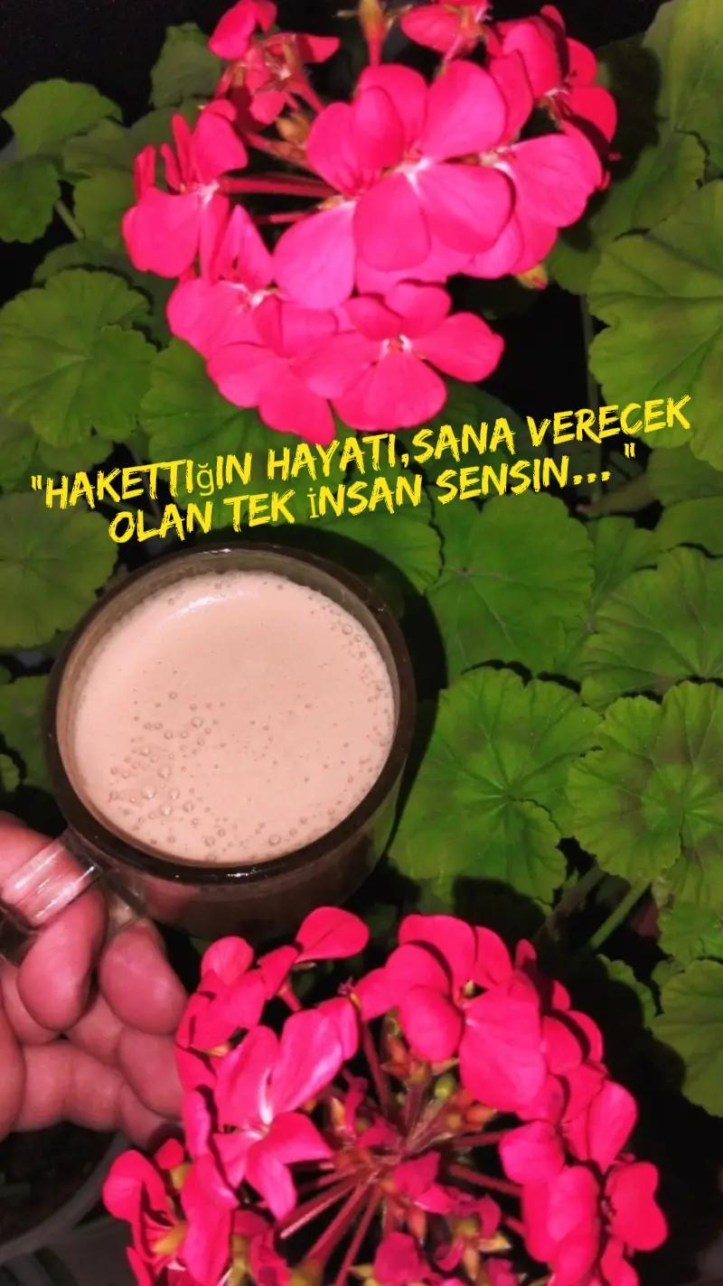 @🌹GÜL HATUN🌹