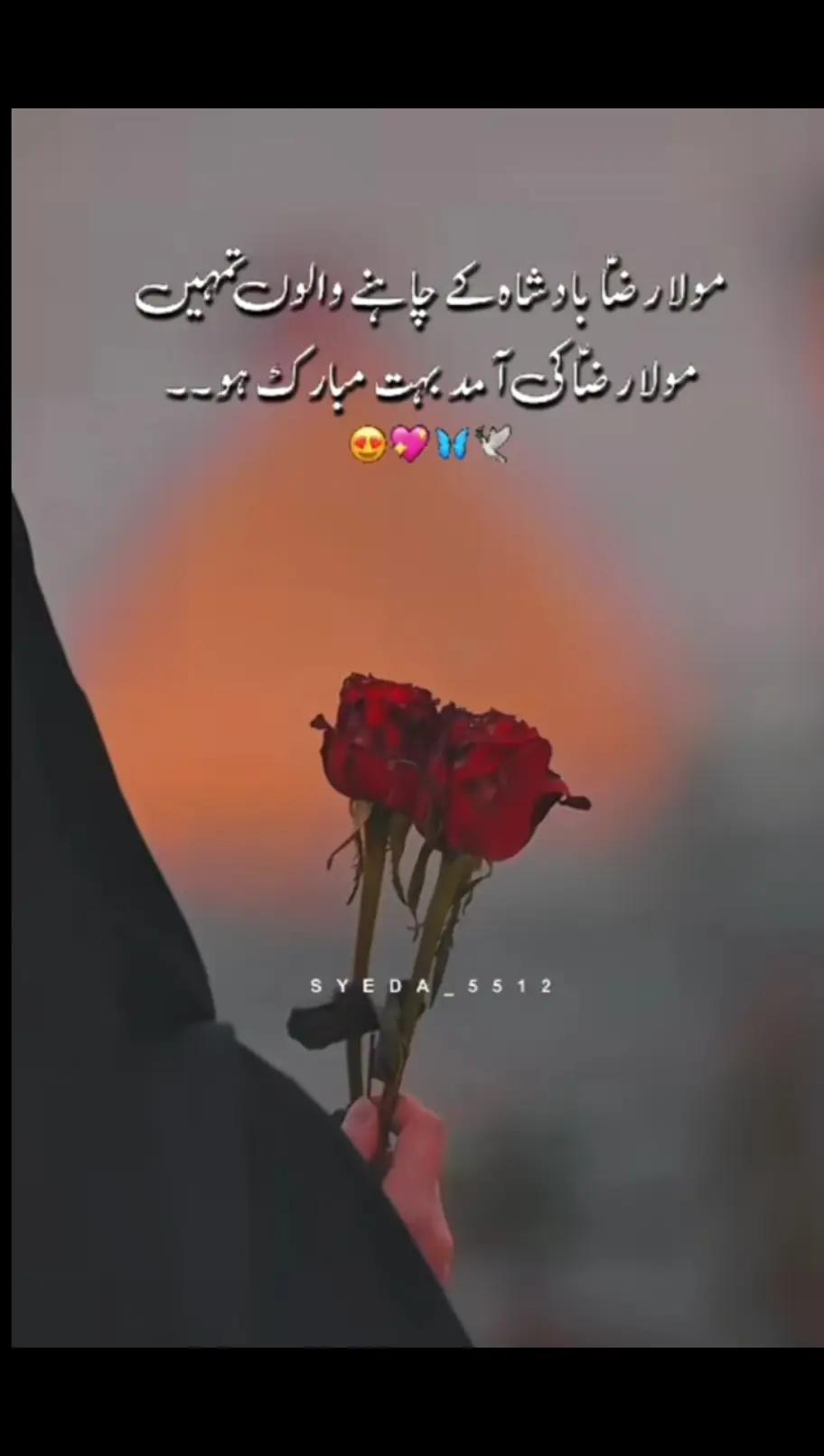@wish_ali12