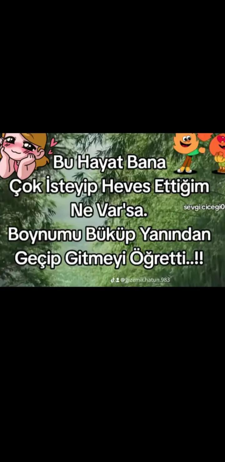 @ismailozdemir677