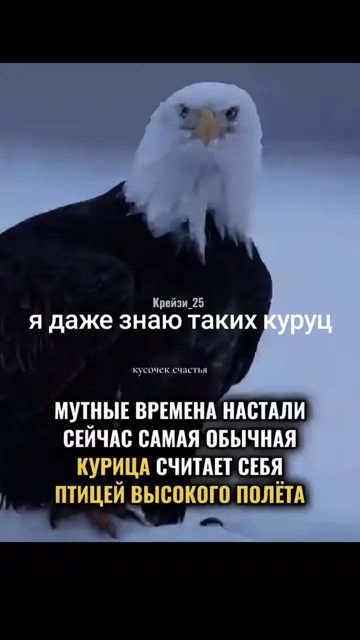 @Rafael