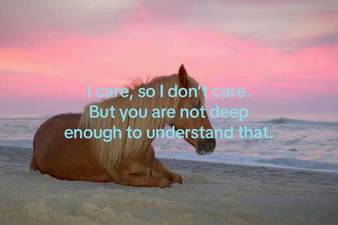 @Enigma