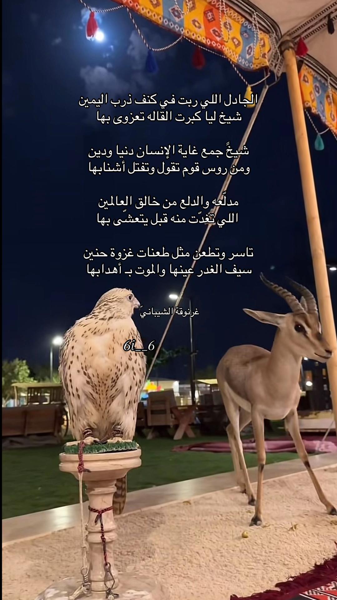@᷂غرنوقه ᷂الشيبـاانيّ ♕.
