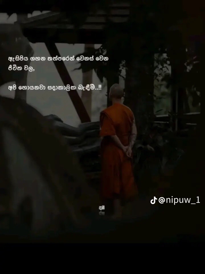 @nawo__girl_01__