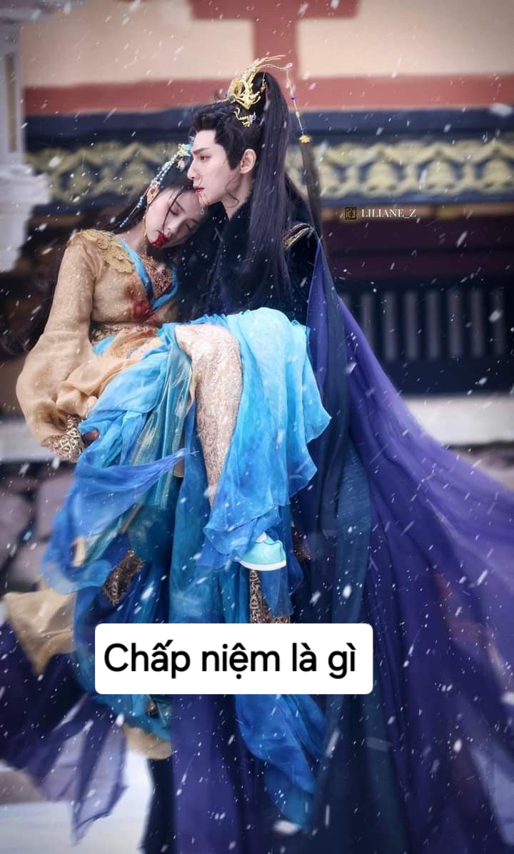 @白鹿