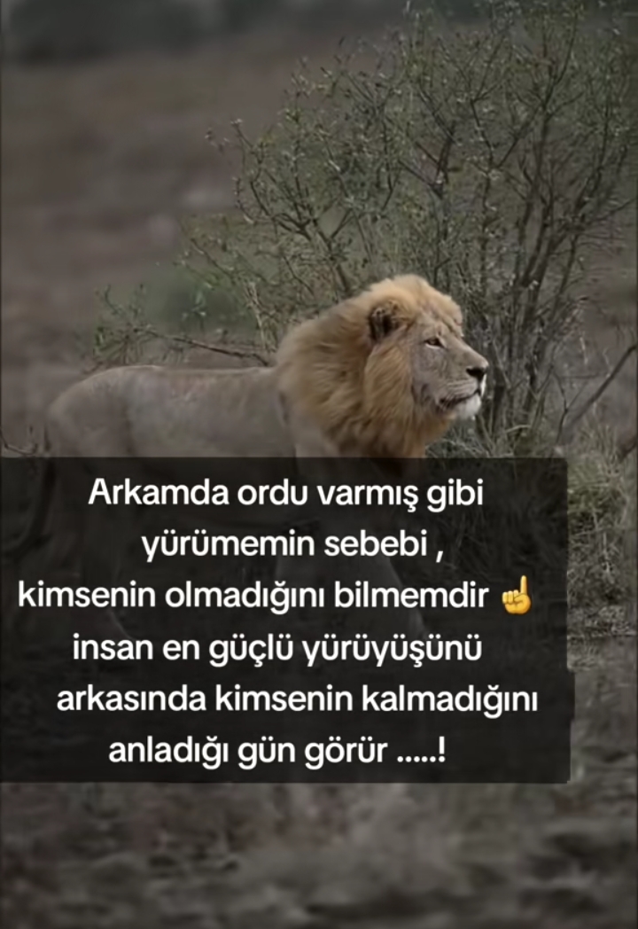 @Mustafay&ouml;ndemli