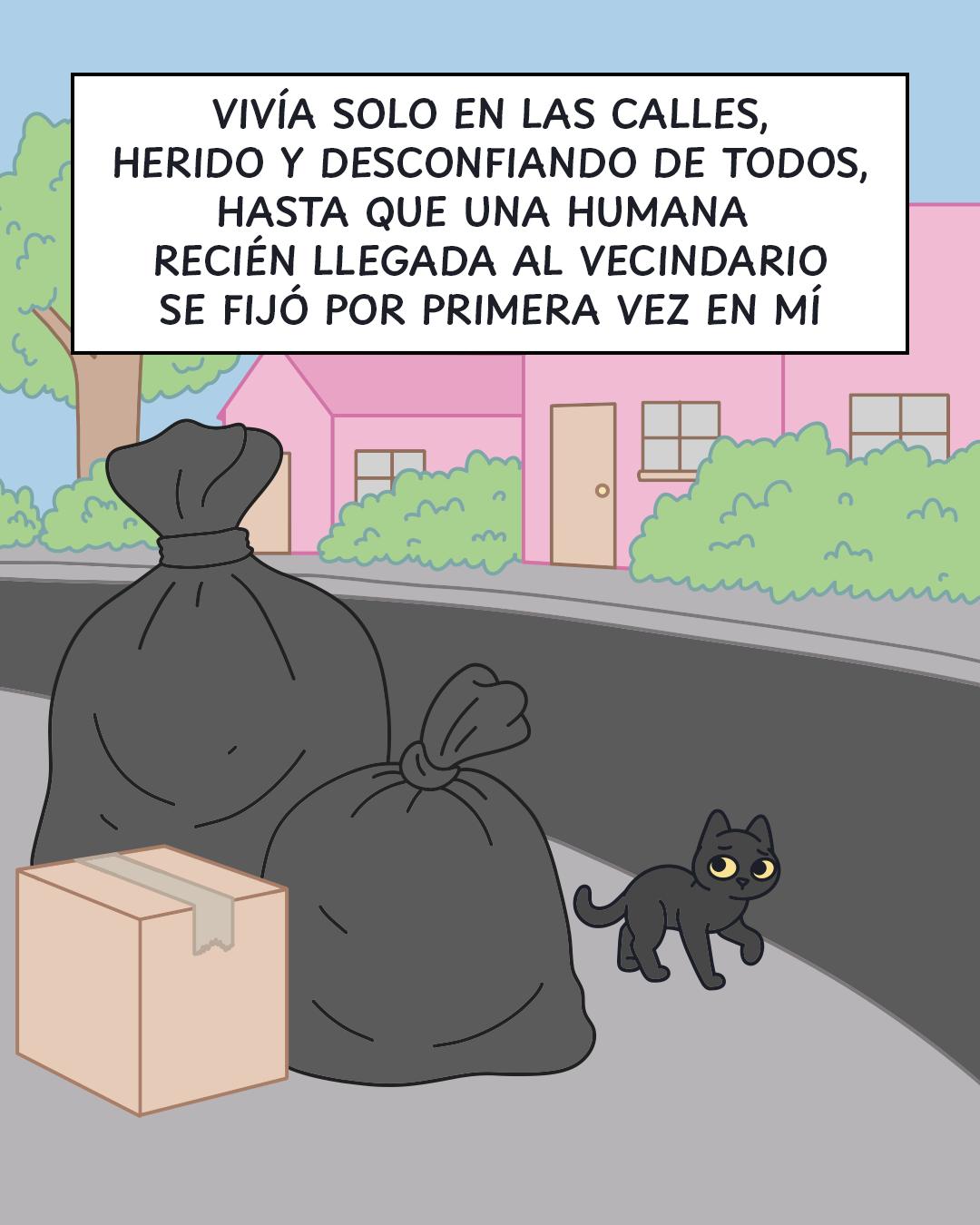 @Cosa de gatos