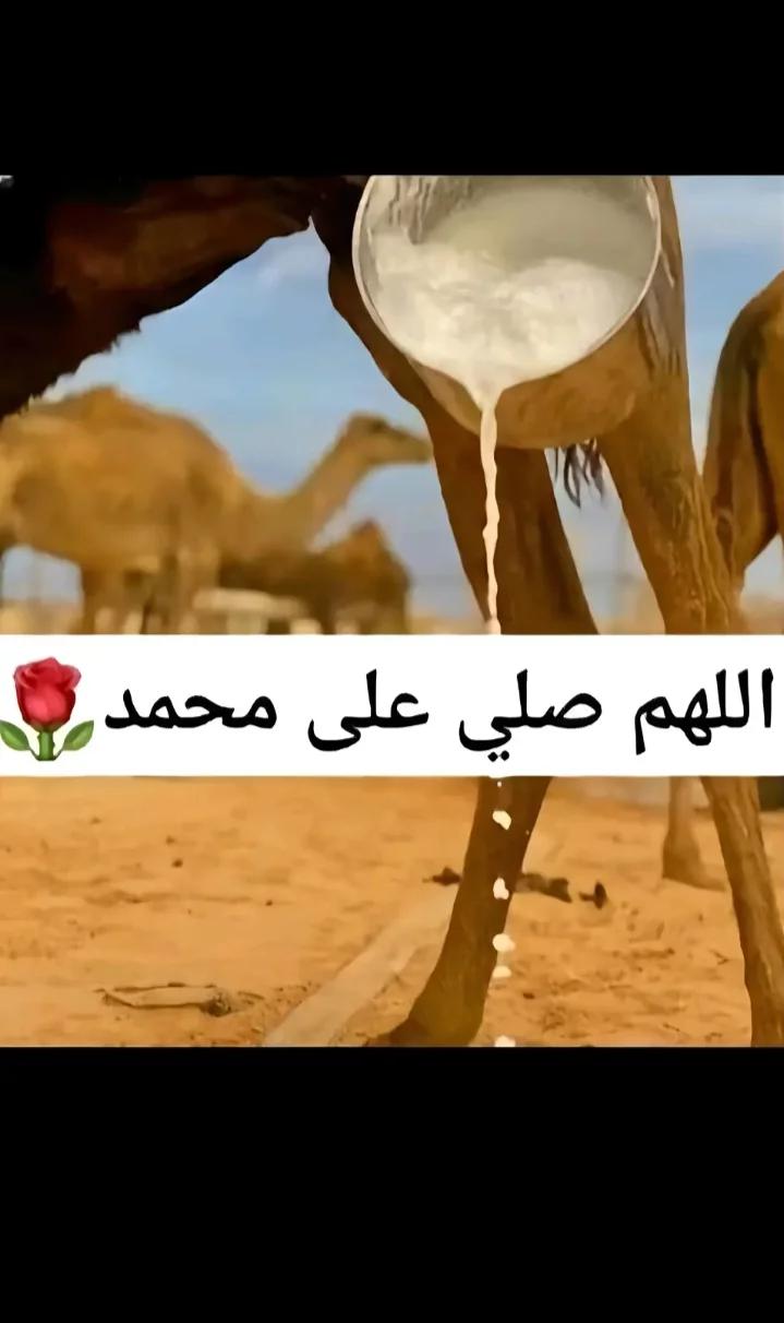 @hma7moud