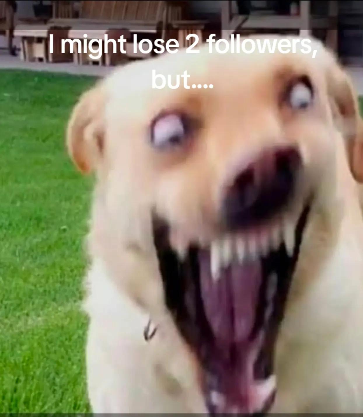 @R A Y A N