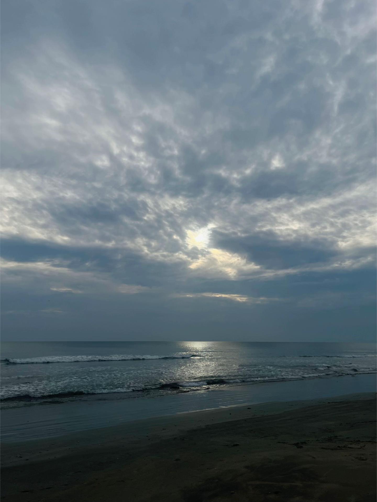 @عائلة القط ايرو
