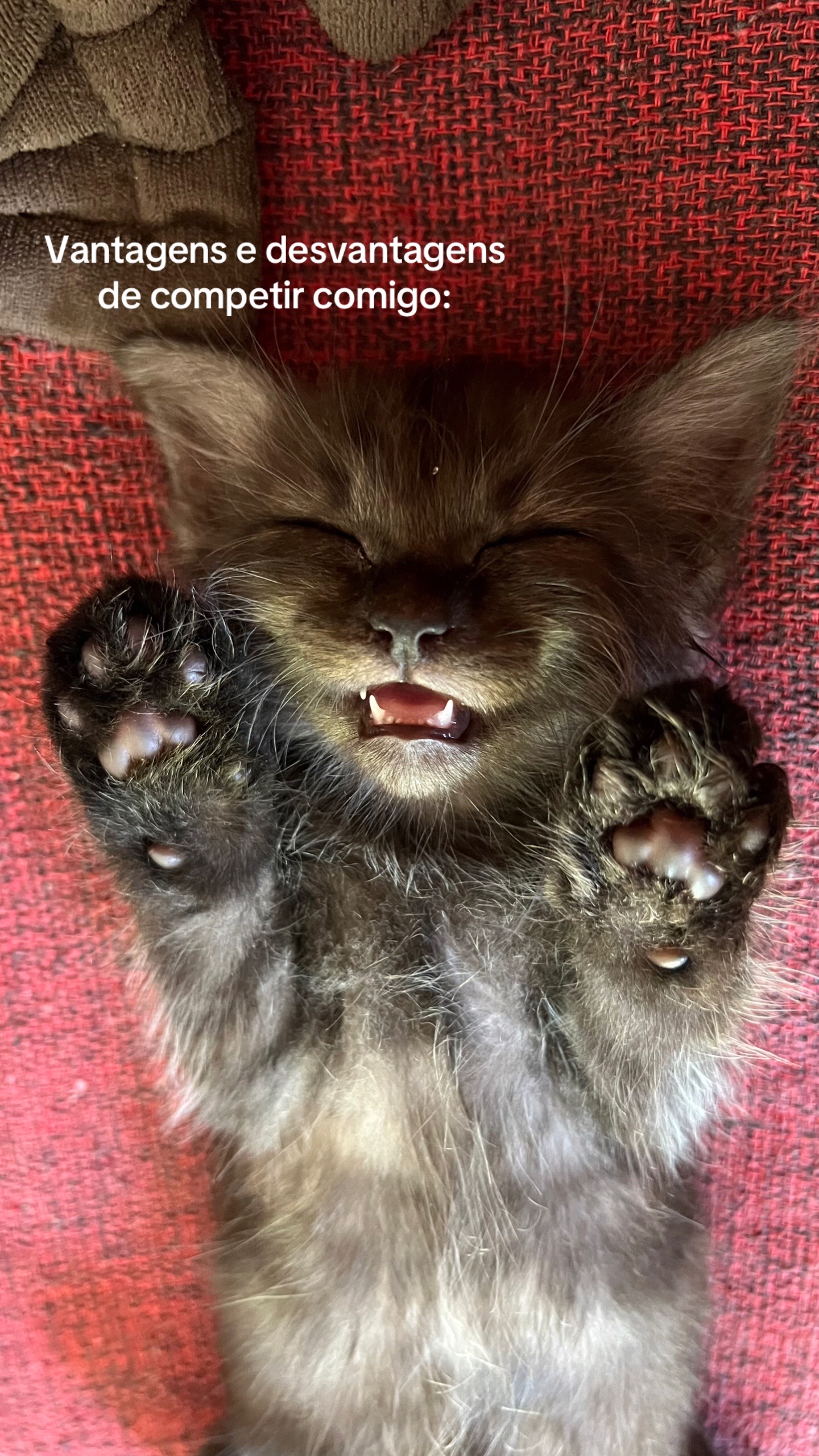 @Pᥱ́r᥆ᥣᥲ ᥱ ᥴᥲ&rho;&iota;tᥲ̃᥆