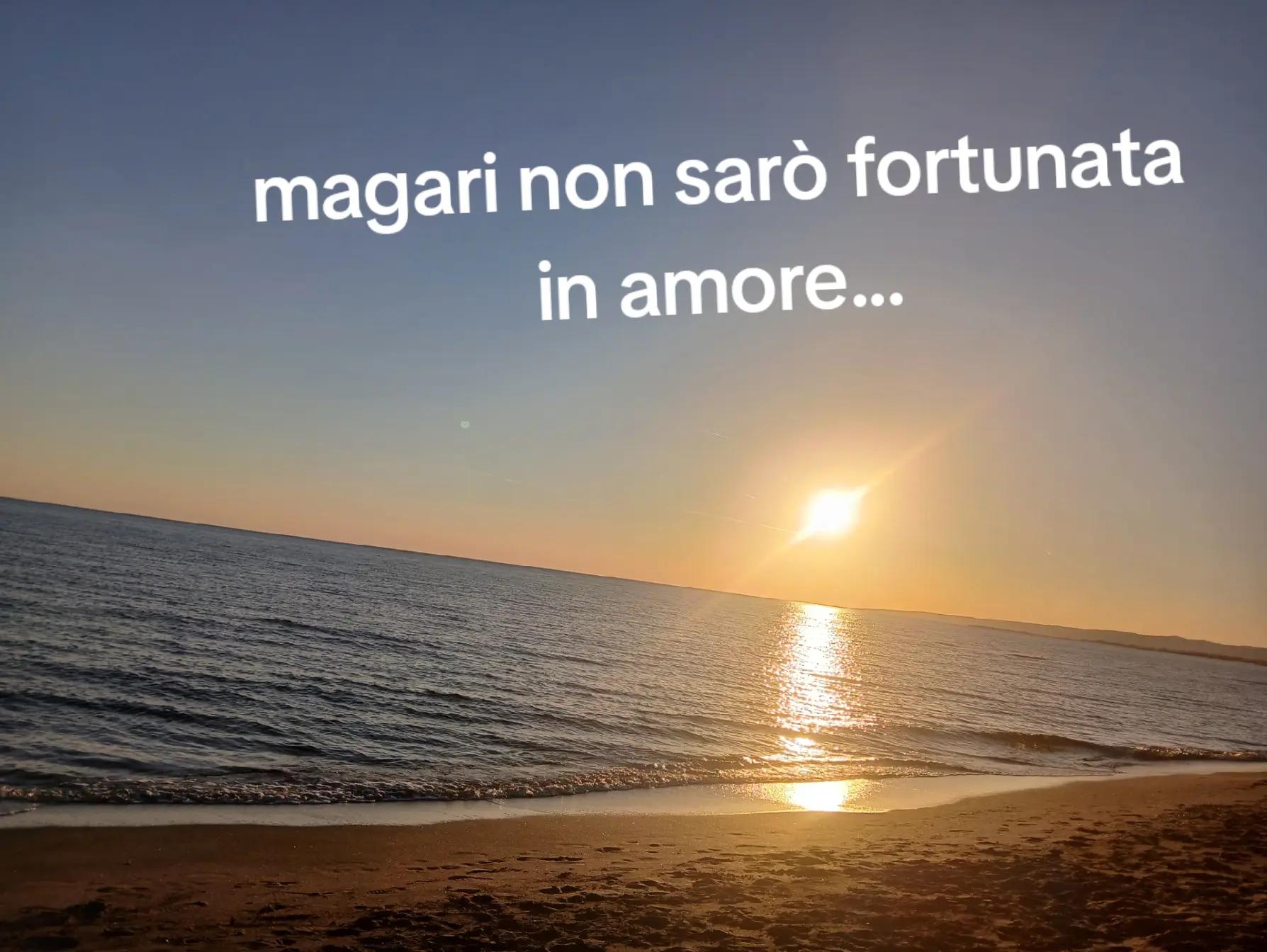@sofia_sardella8