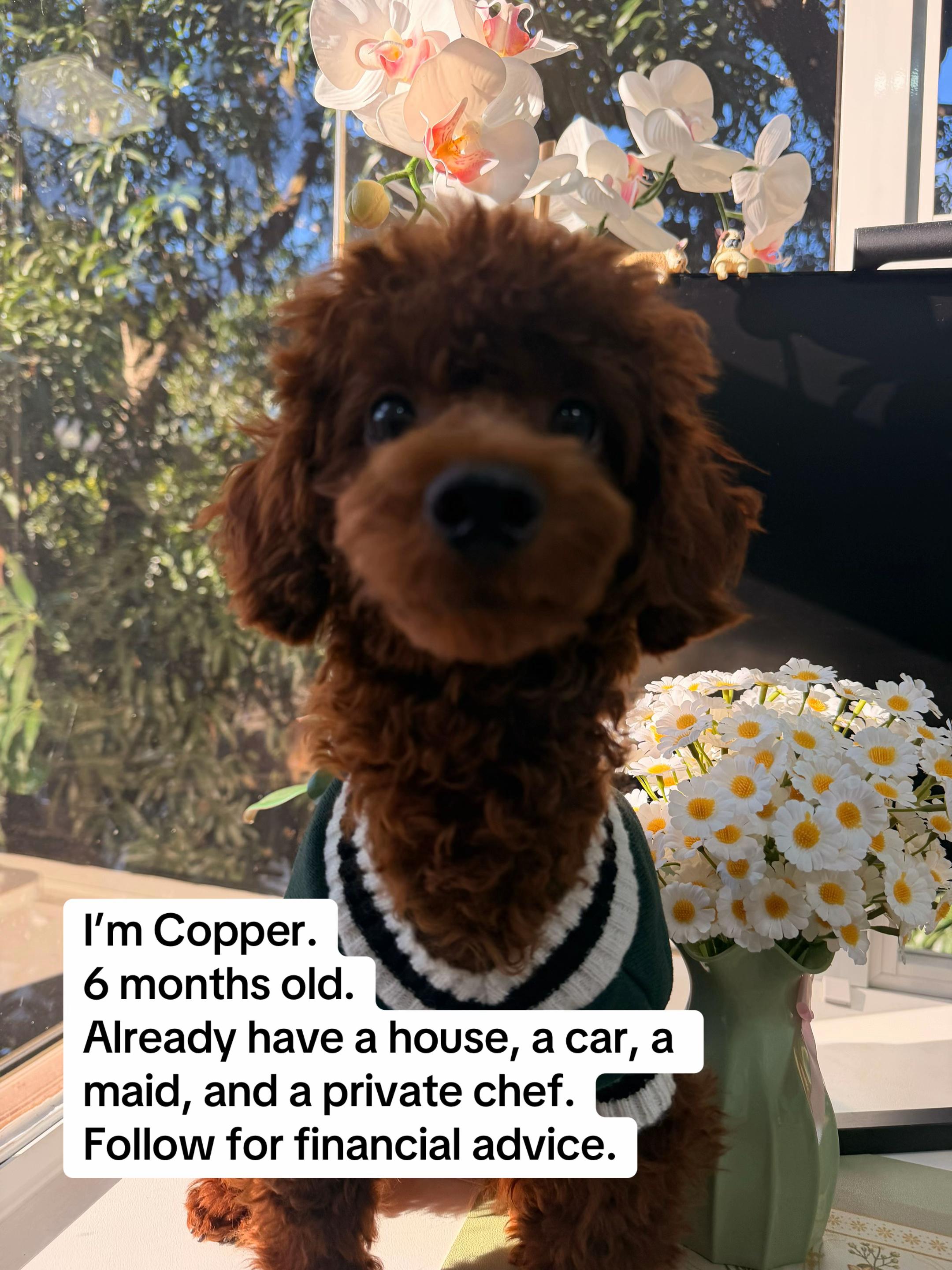@copper
