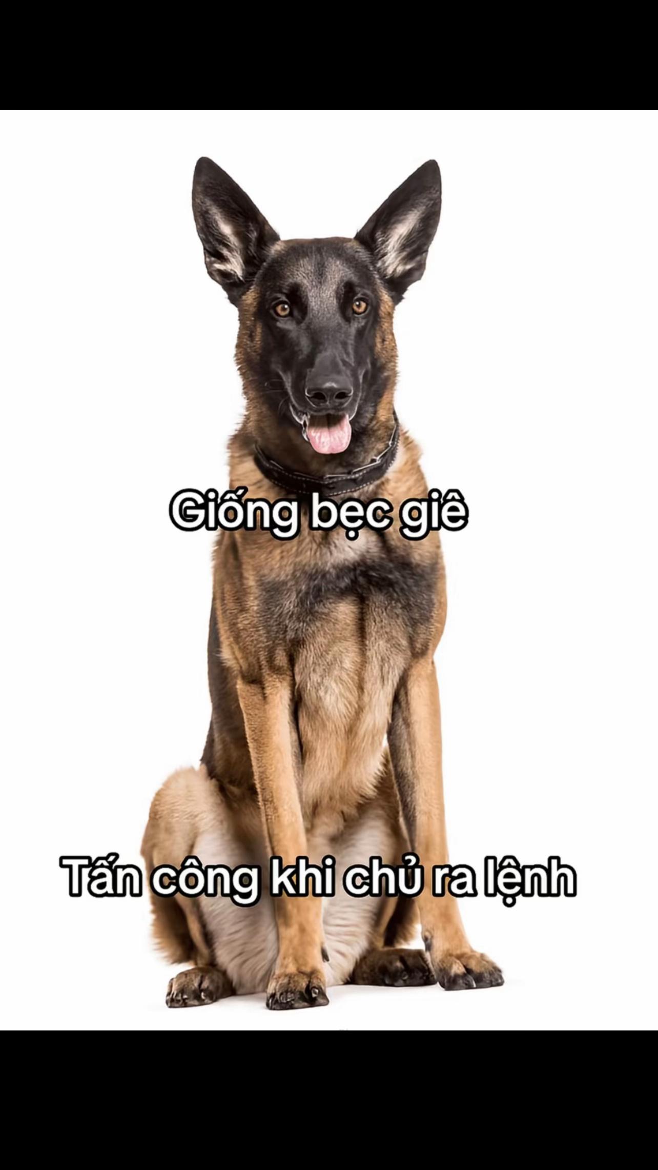 @T&ocirc;.