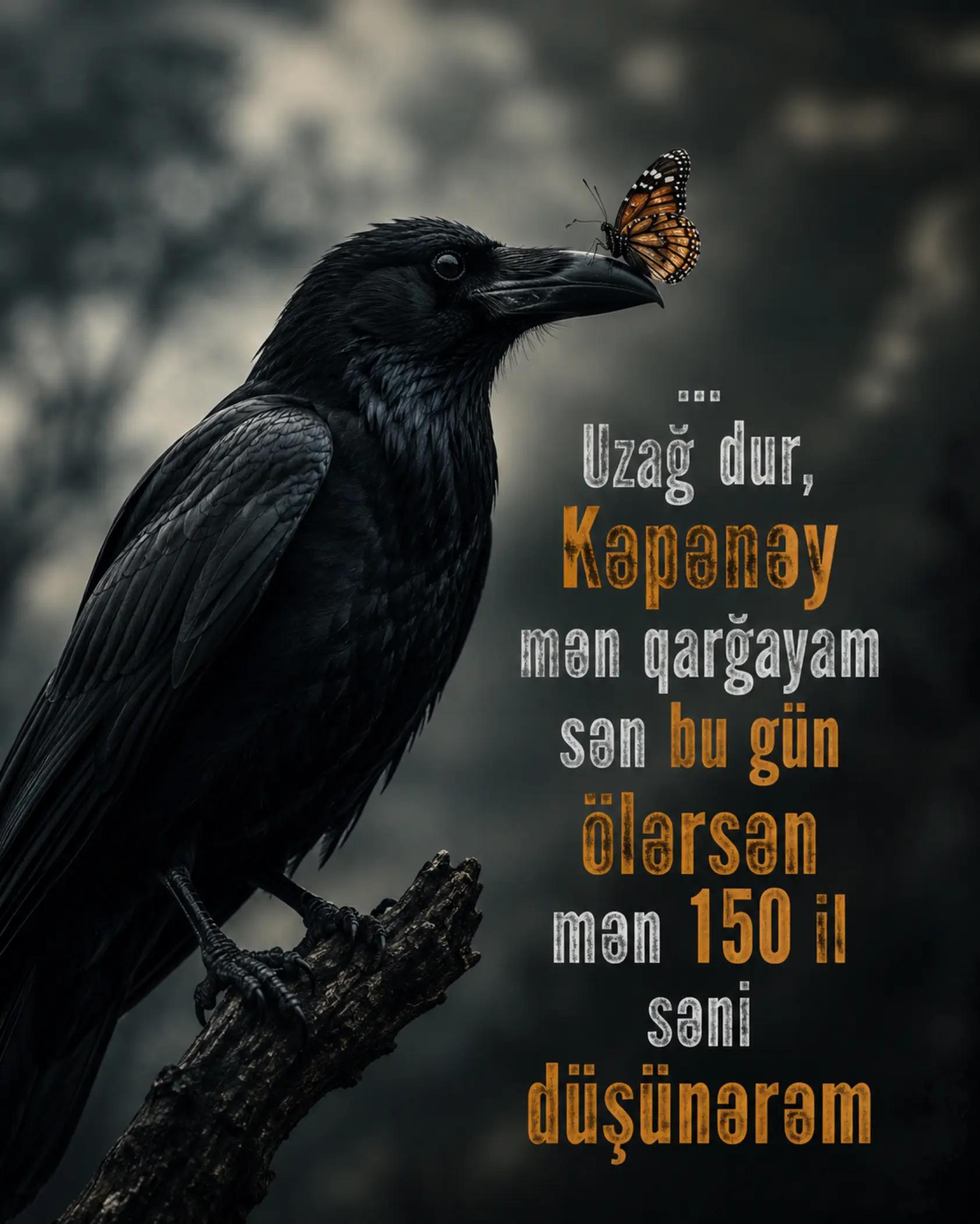 @👑SamiR👑