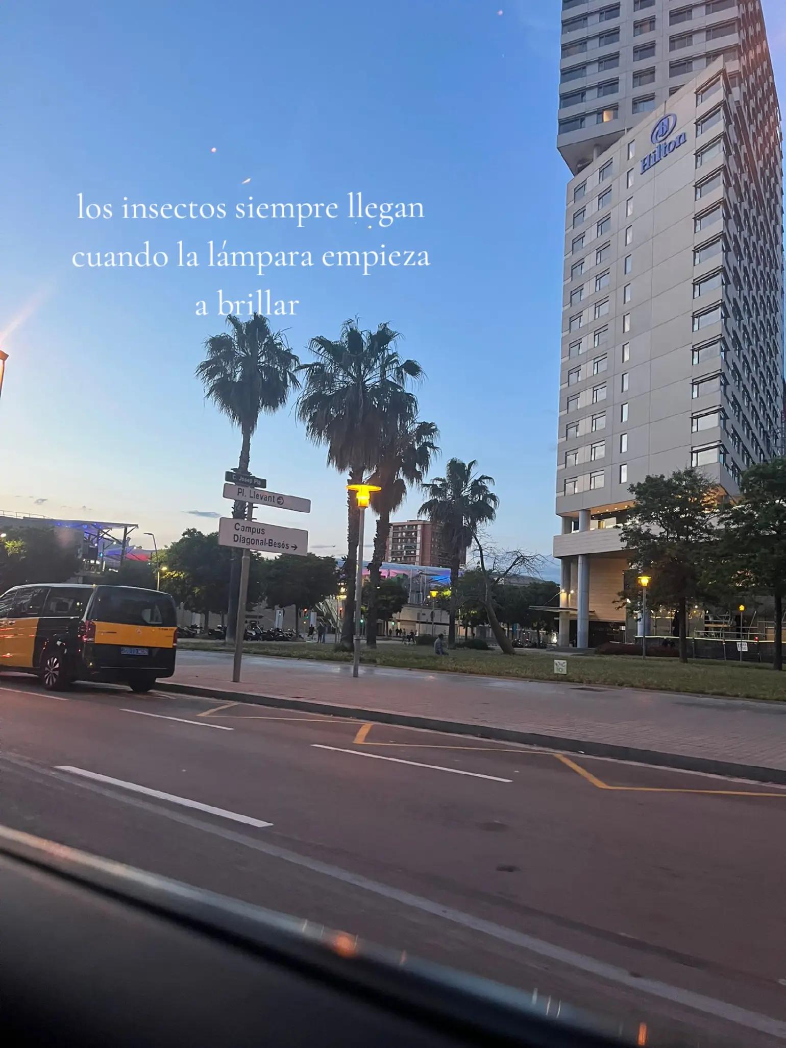 @Barrios_7🌊🌊