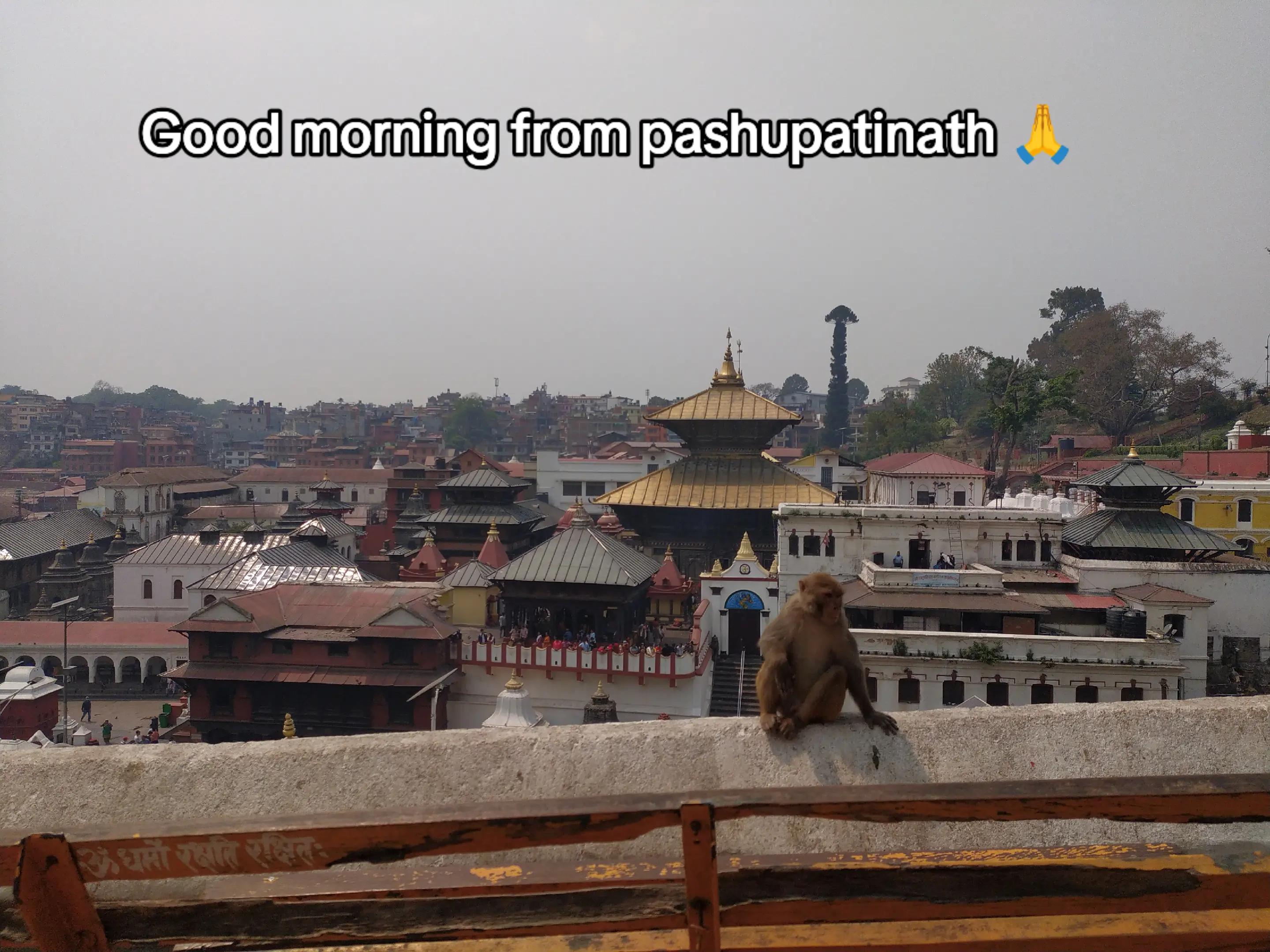 @Vishnu🙏