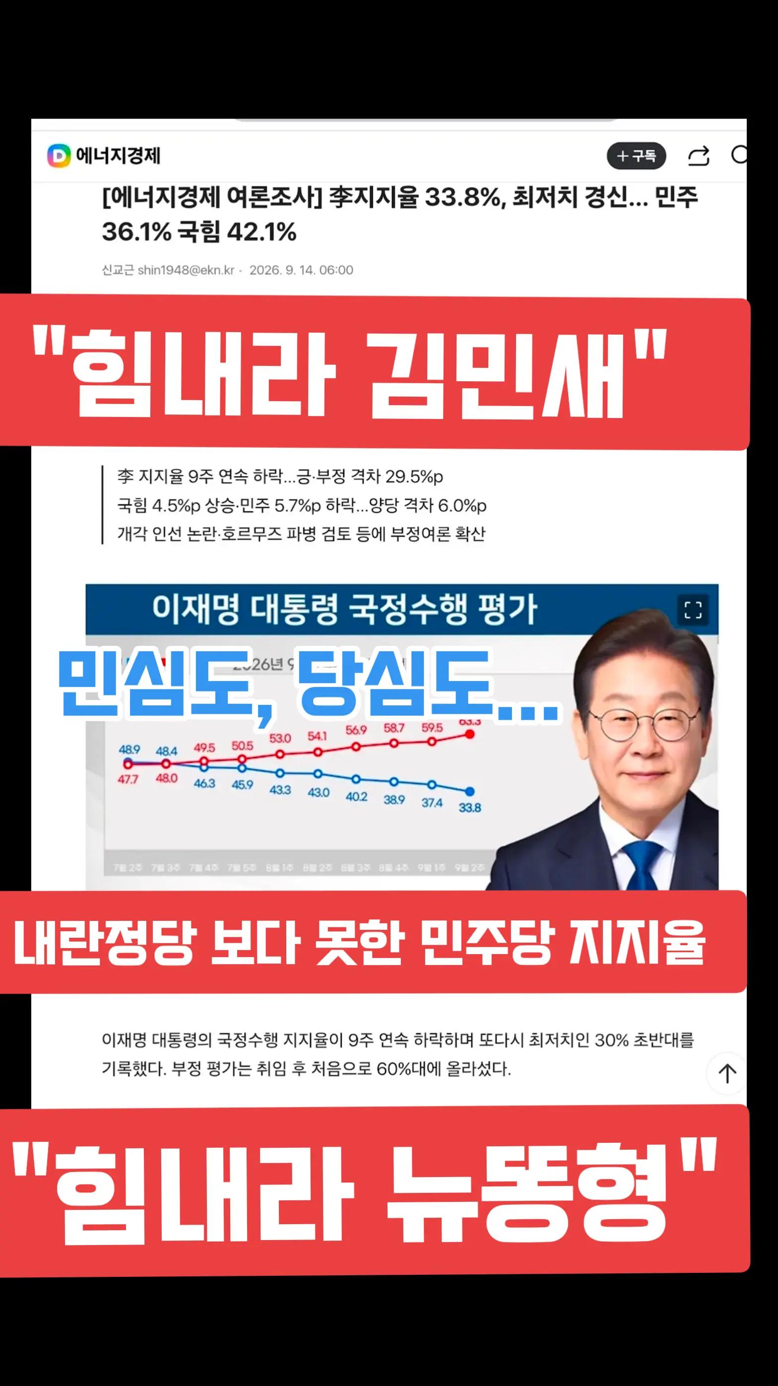 @Team Dokdo