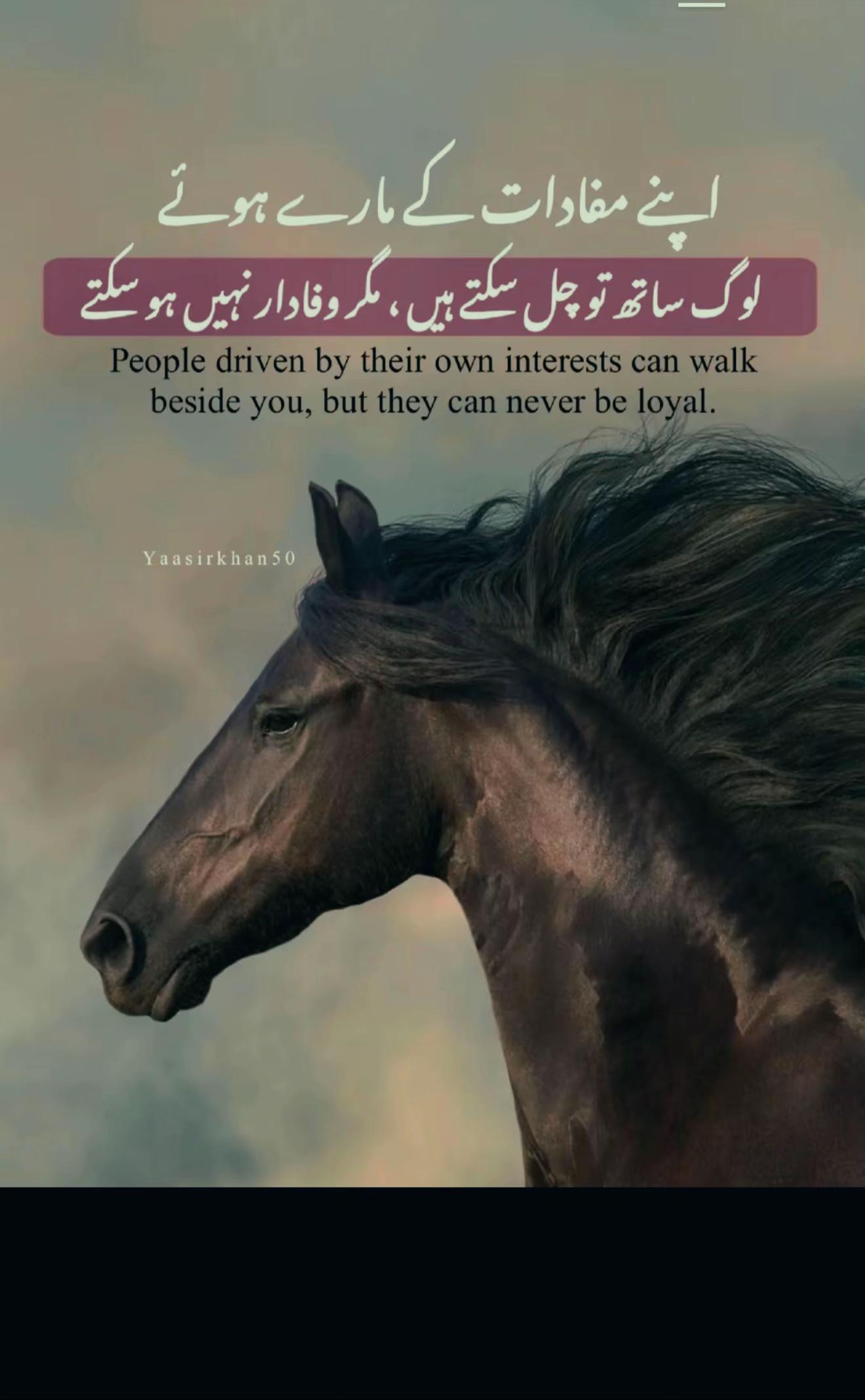 @Sanwal Sahi✅