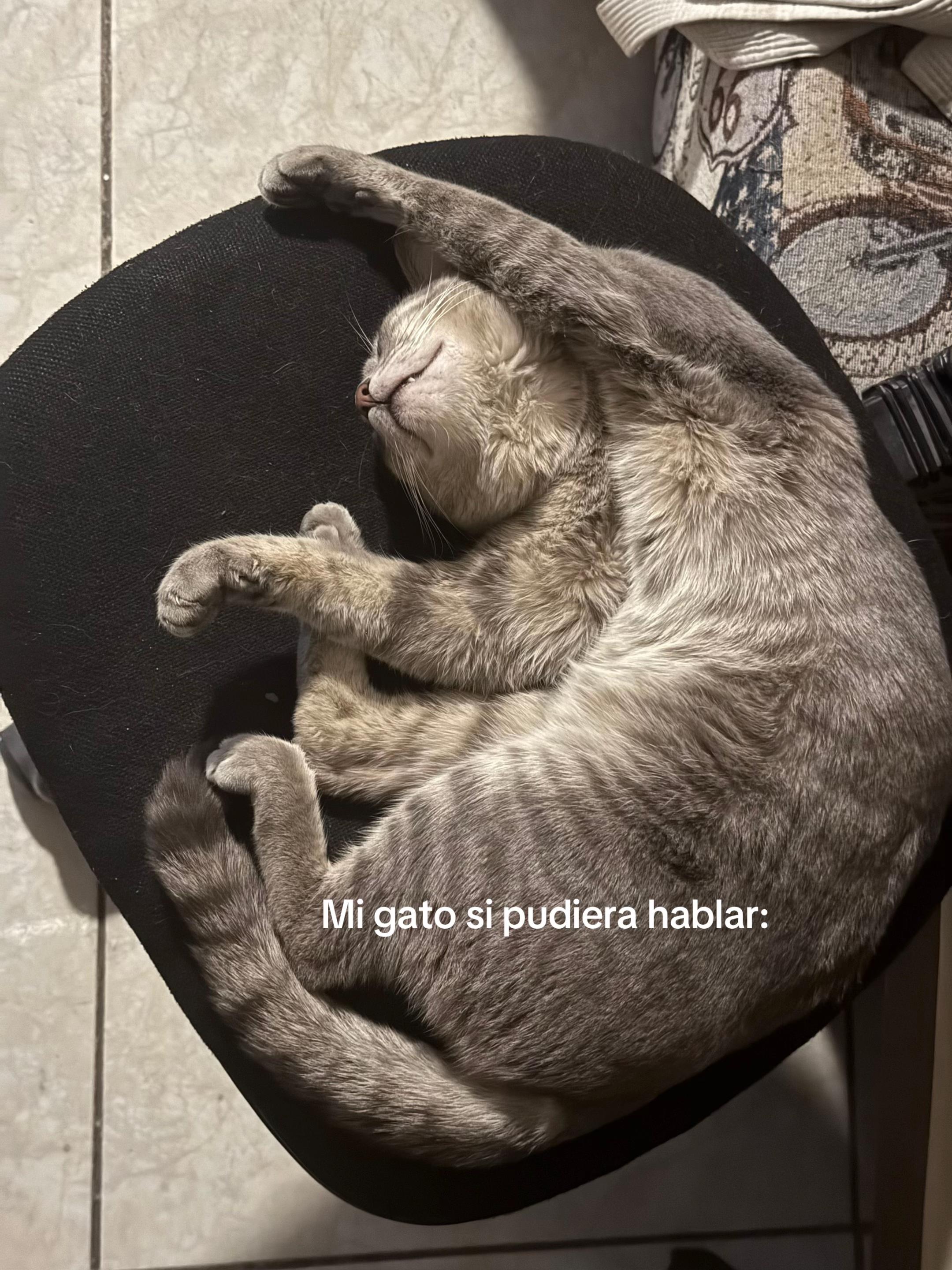@Aleida Oyervides