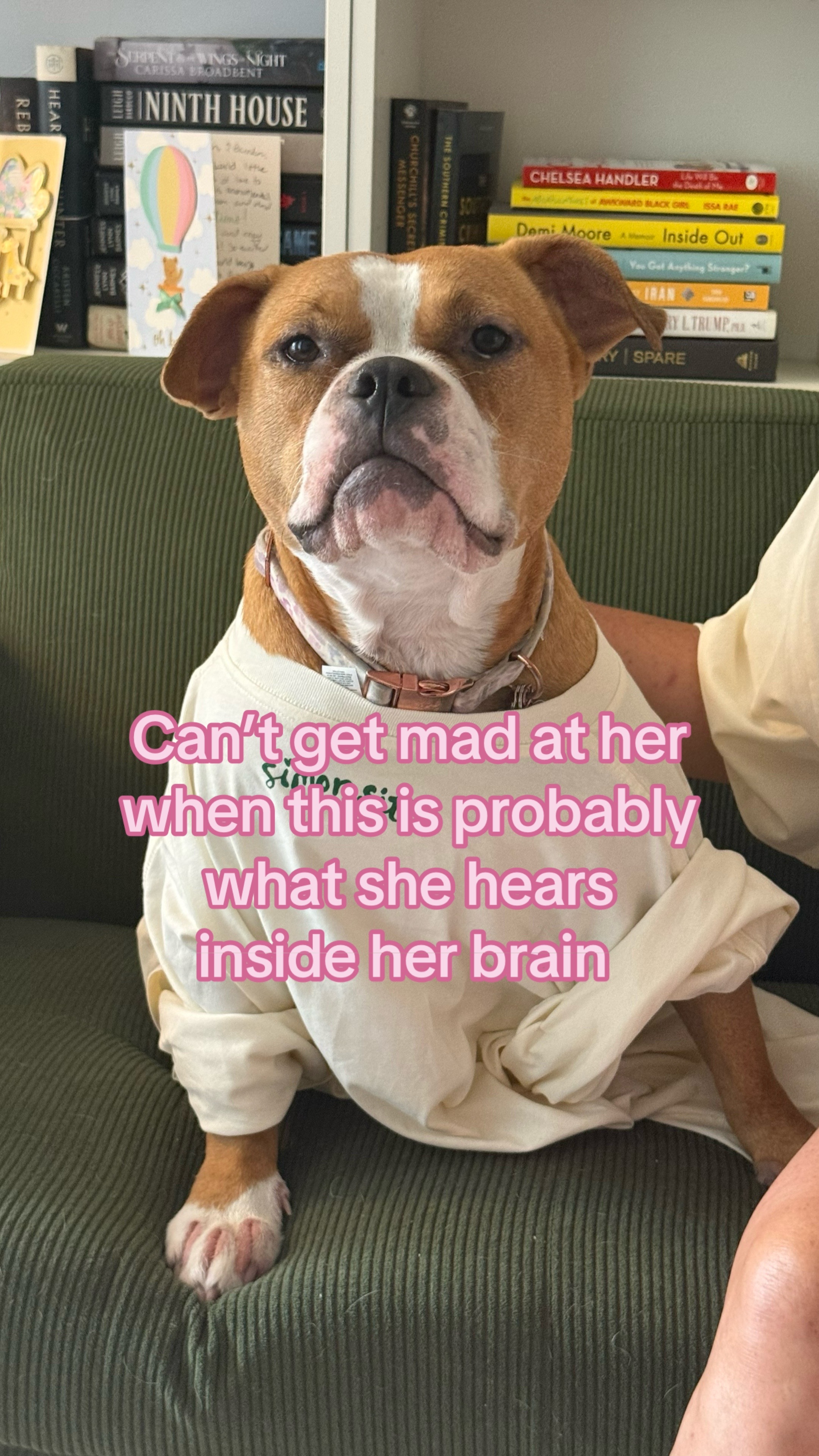@MEG