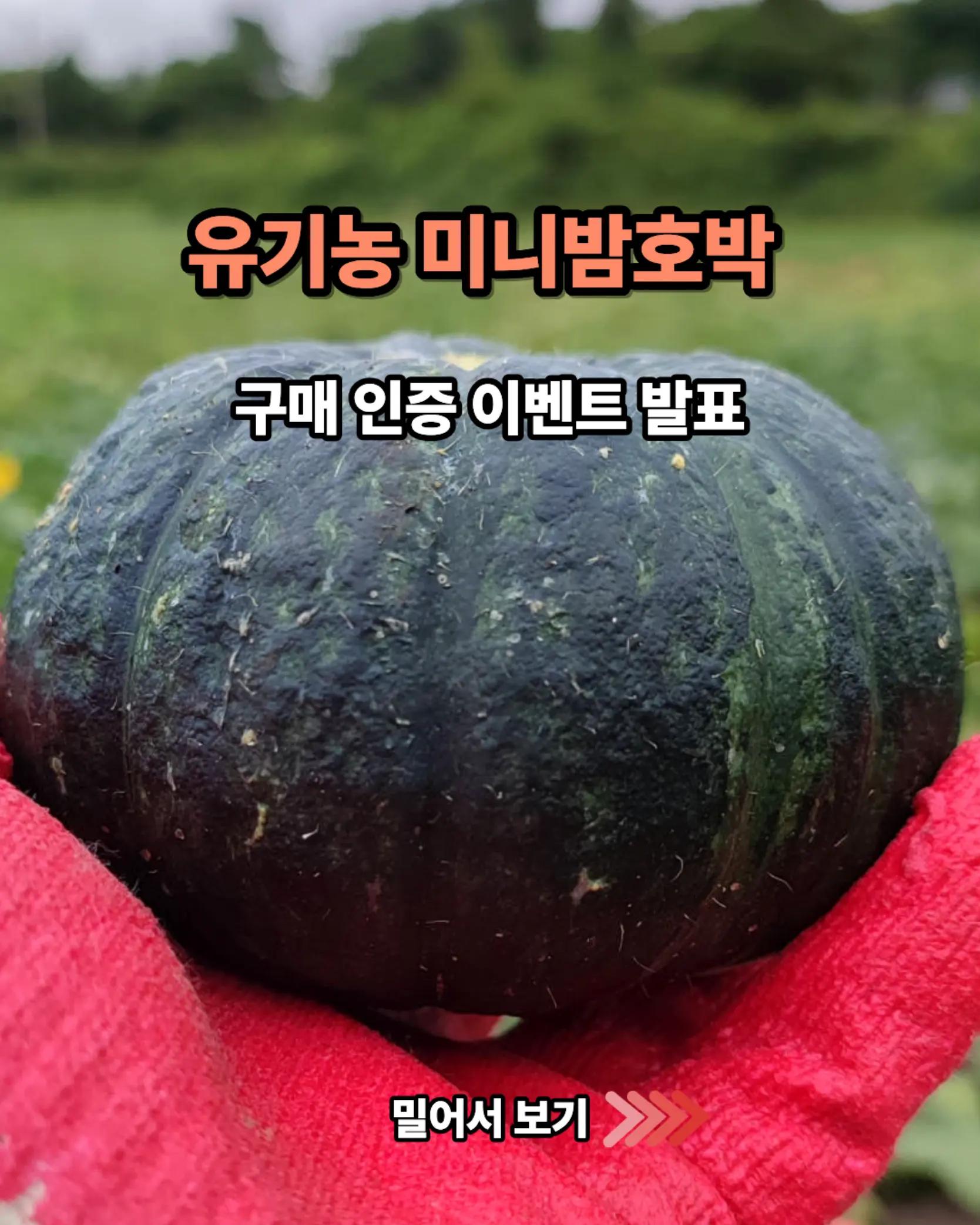 @진심먹거리