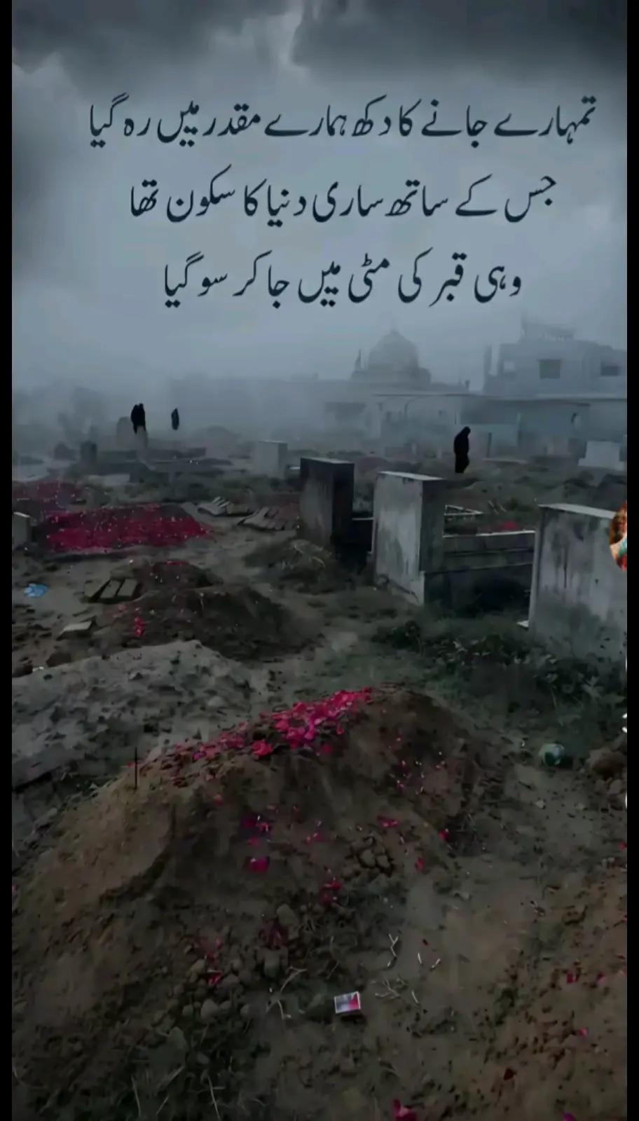 @Fazil Shaikh