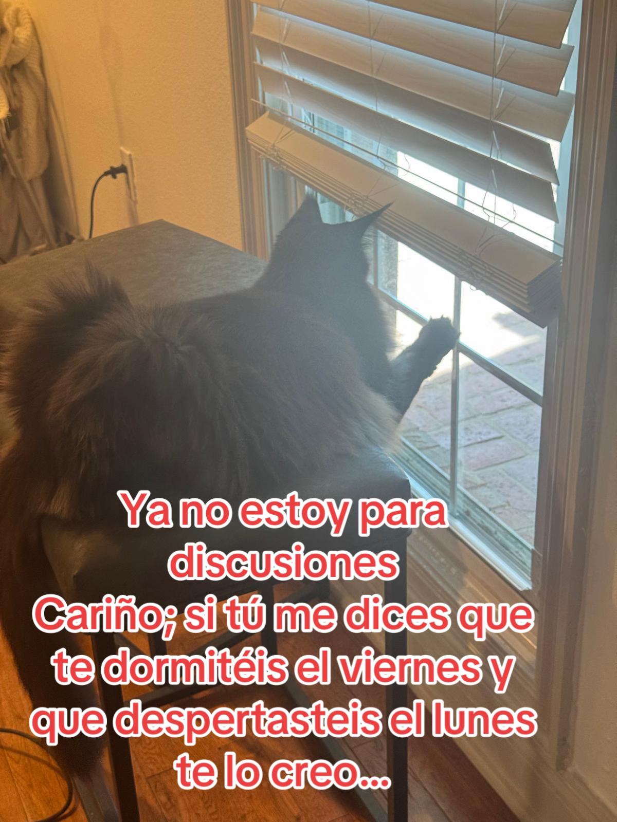 @Elsita Bejarano