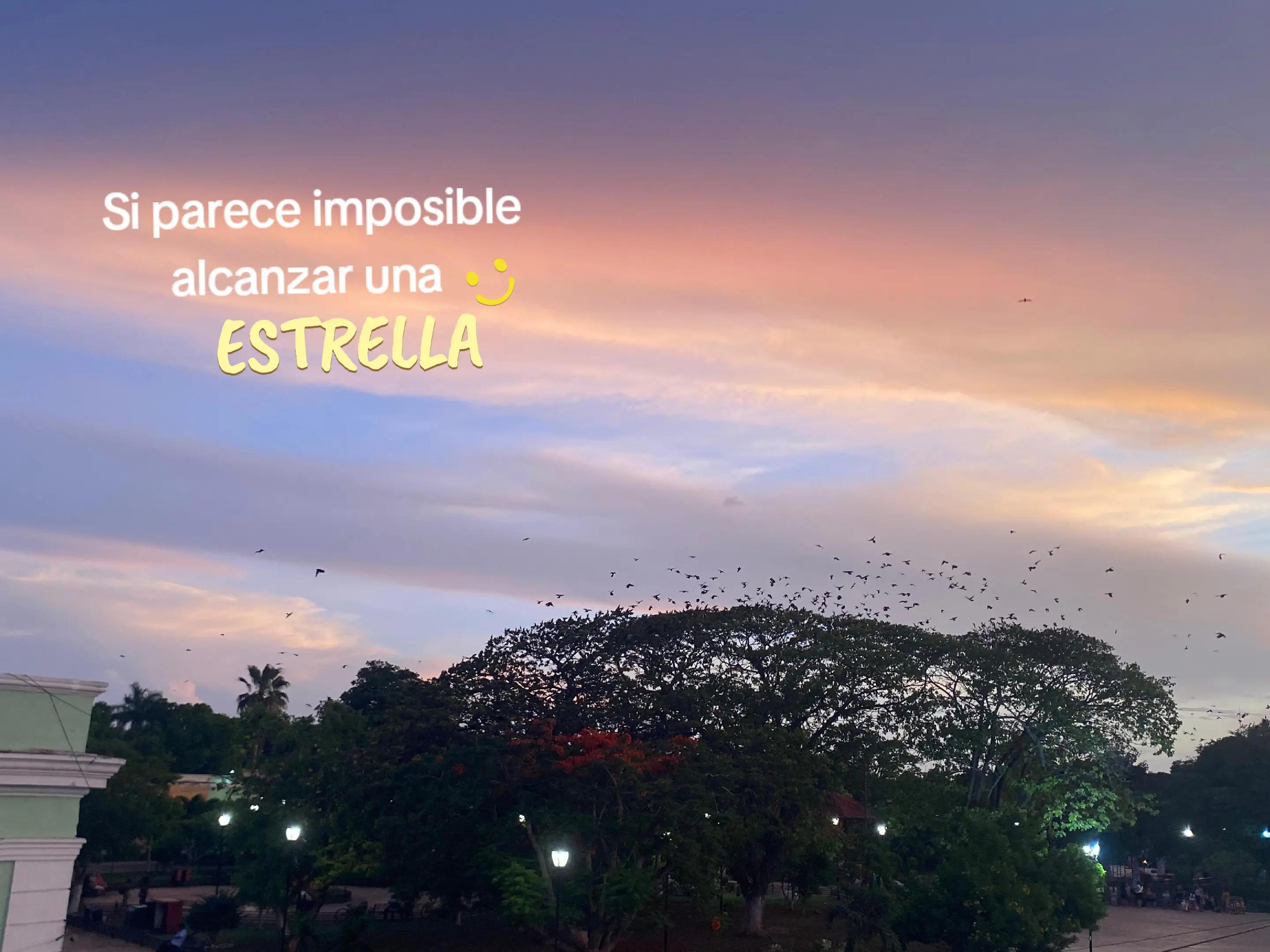 @BRITO🌠