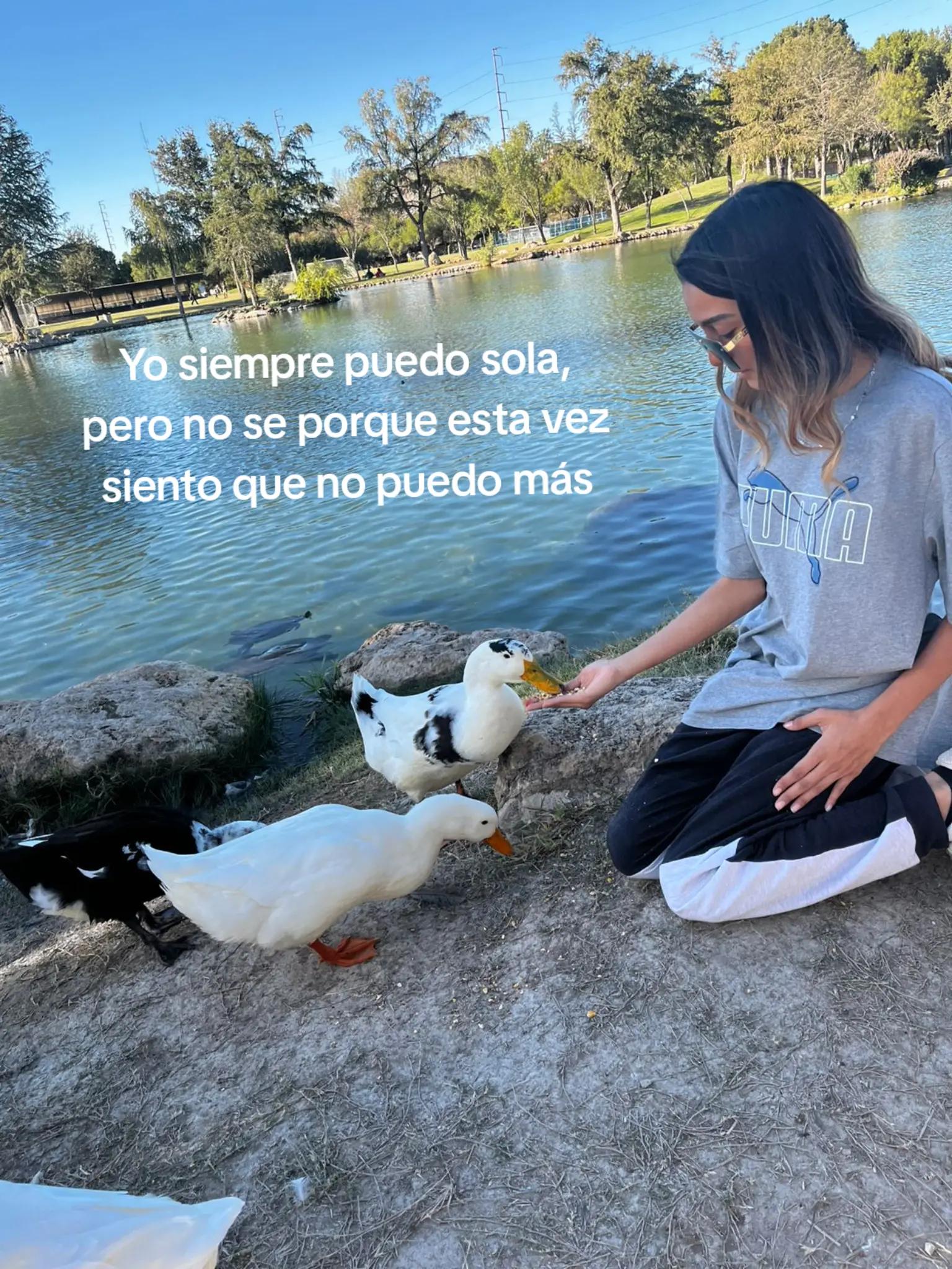 @Garcia