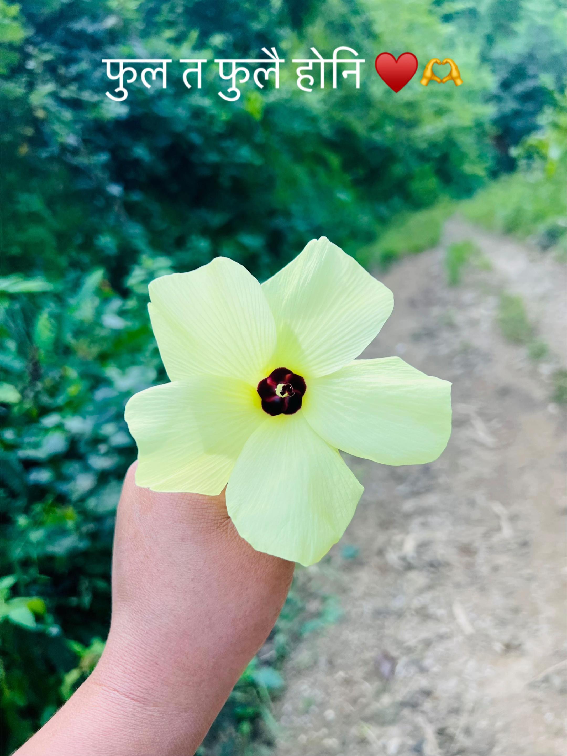 @सबि साम्सोहाङ राई 🫀🫶