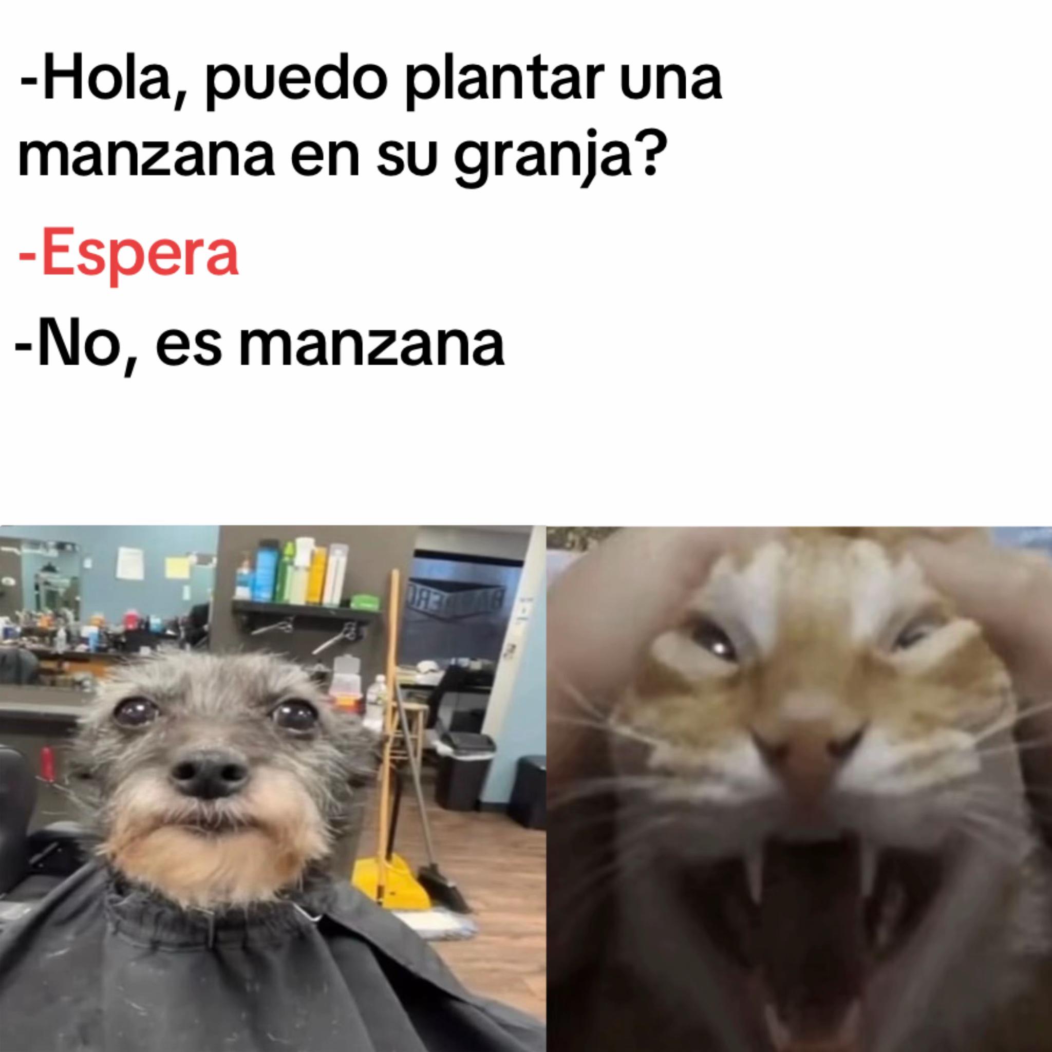 @momazosnegromarronjeje