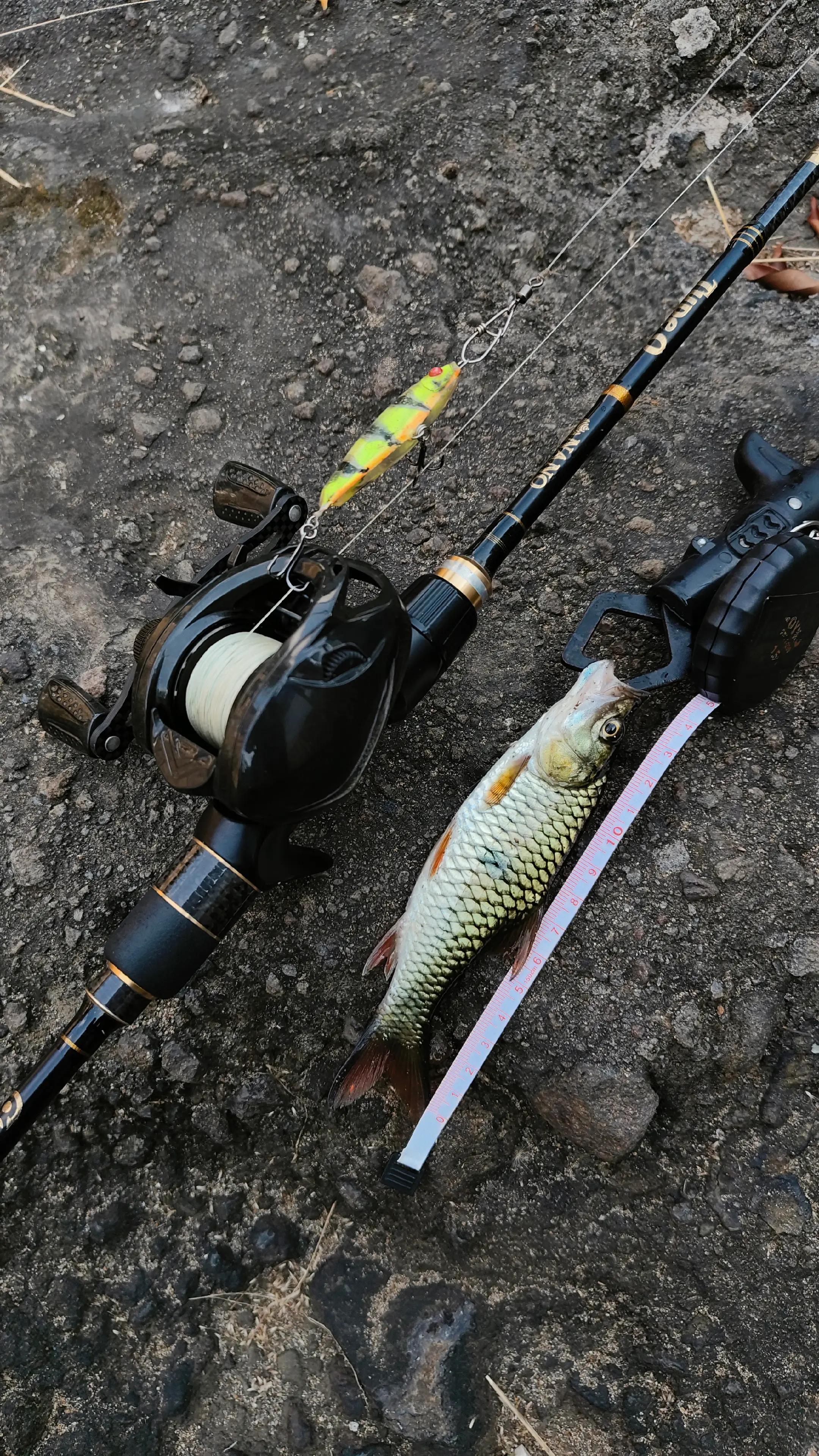 @gustavxfishing